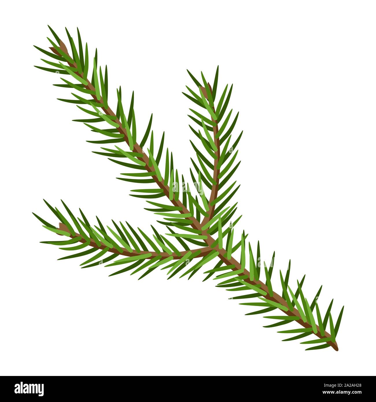 Illustration of fir branch Stock Vector Image & Art - Alamy