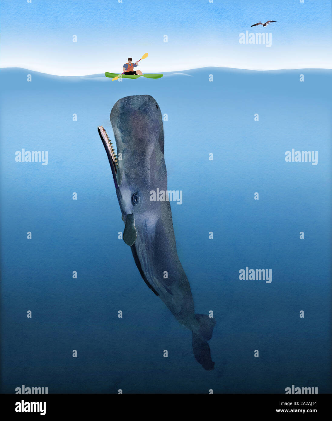 The whale man hires stock photography and images Alamy