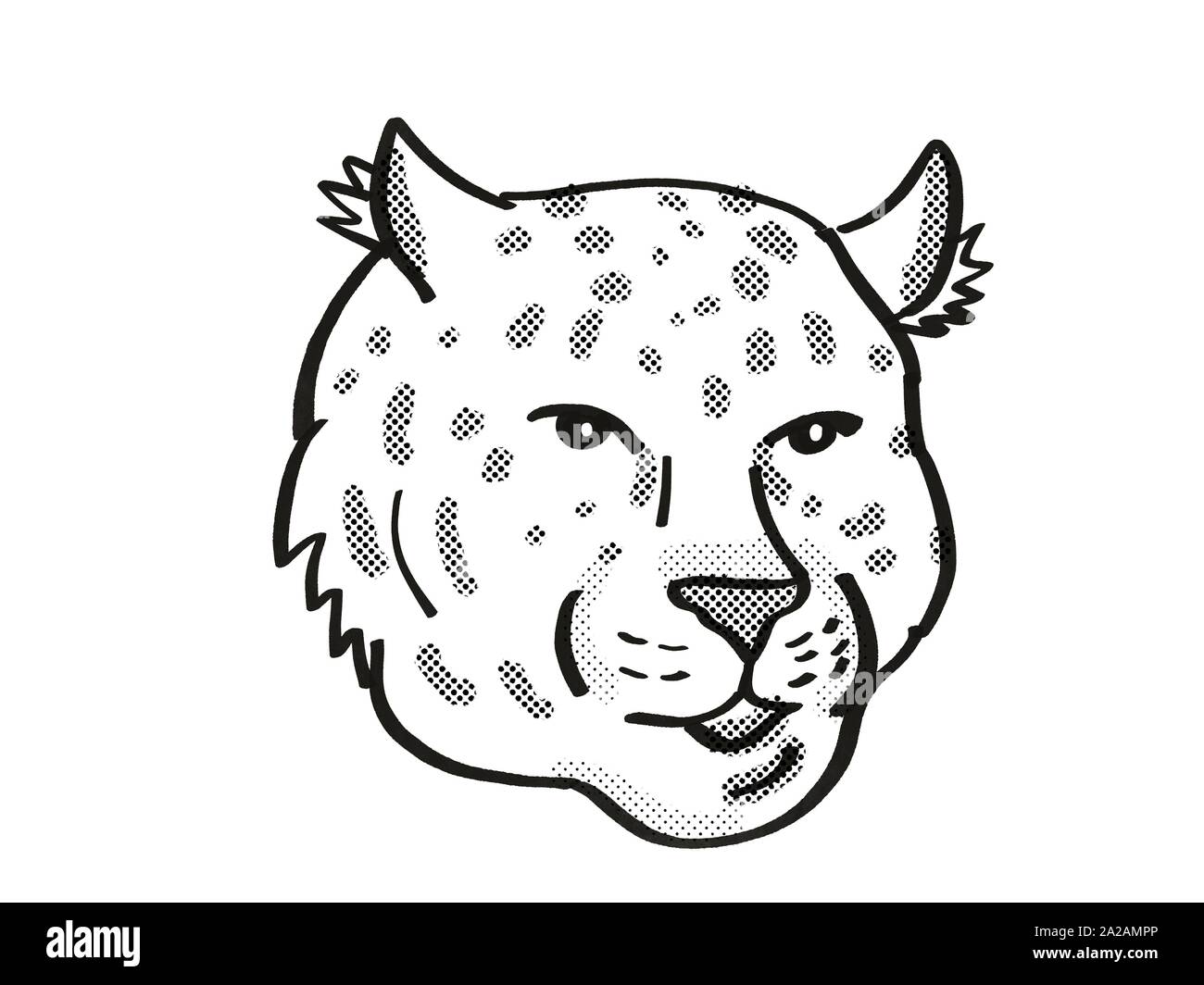 Retro cartoon mono line style drawing of head of an Amur Leopard, an