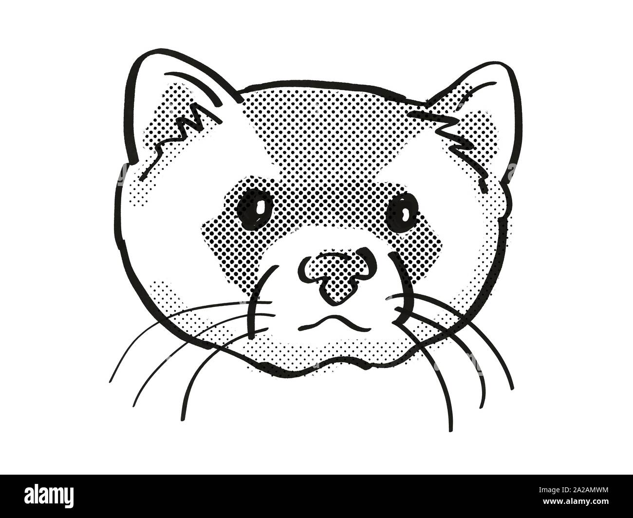 Retro cartoon mono line style drawing of head of a black-footed ferret, American polecat or prairie dog hunter and an endangered wildlife species on i Stock Photo