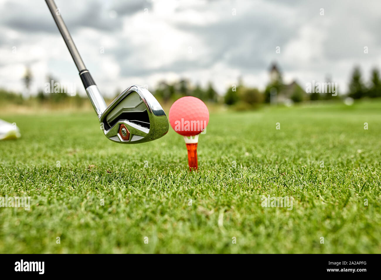 Close up view of golf clubs and golf balls on a green lawn in a beautiful  golf course with morning sunshine Stock Photo - Alamy