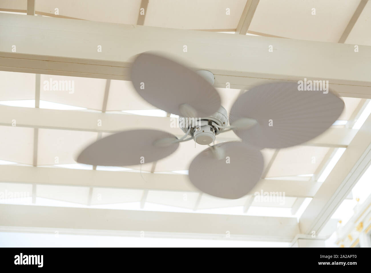 Ceiling Fan In Outdoor Pergola Cafe Stock Photo 328463744