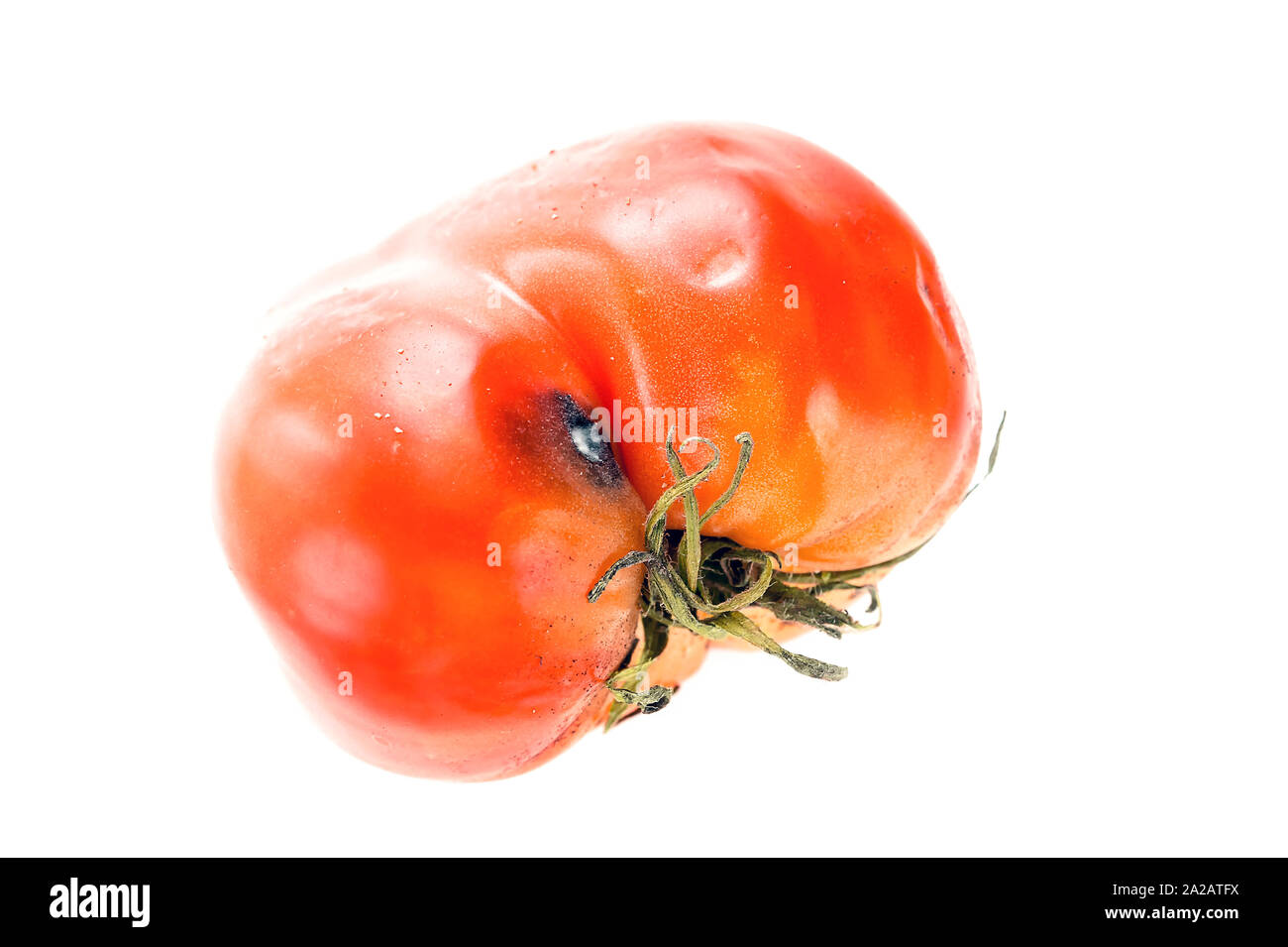 Tomato calyx hires stock photography and images Alamy
