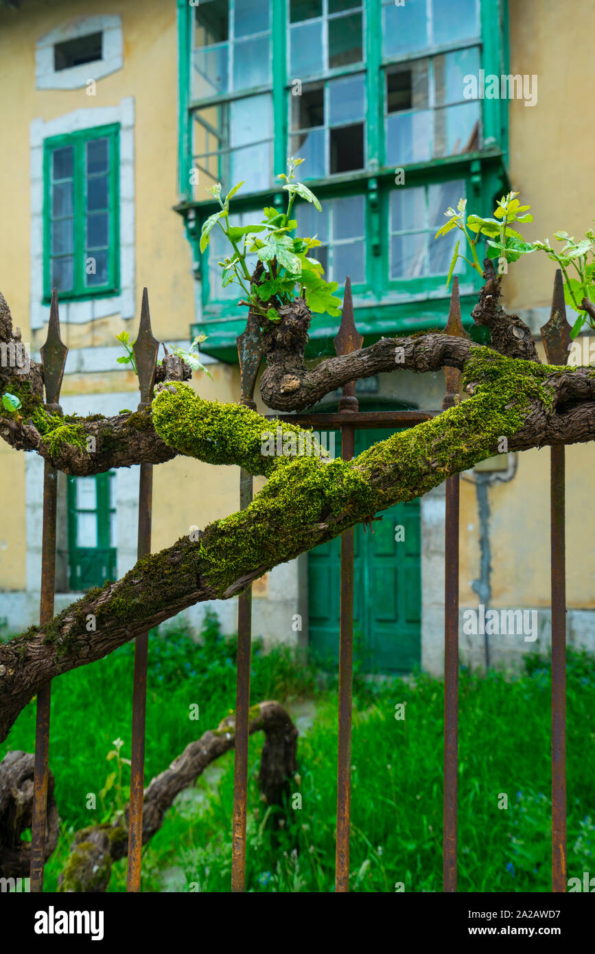 La Maza village, River Miera Valley, Valles Pasiegos, Cantabria, Spain, Europe Stock Photo