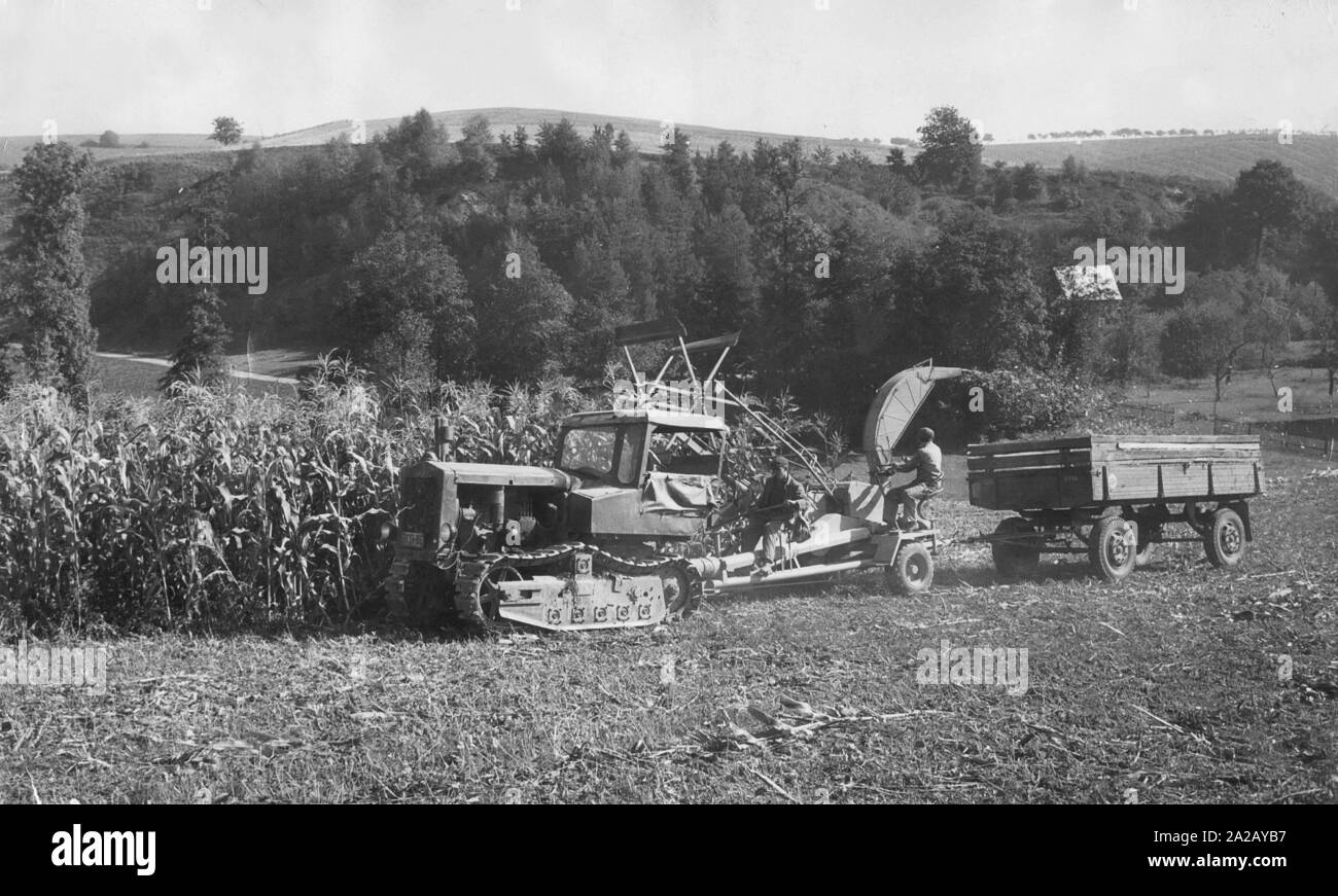 A corn chopper of the agricultural cooperative Jauna at Weimar loading a trailer during the harvest. Stock Photo