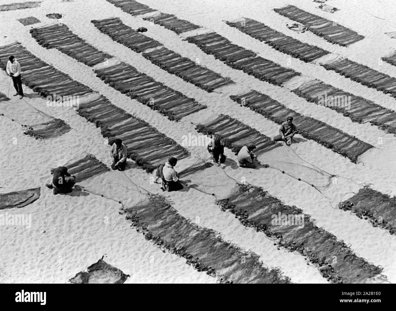 Spanish fishermen prepare the fishing nets. (undated picture Stock