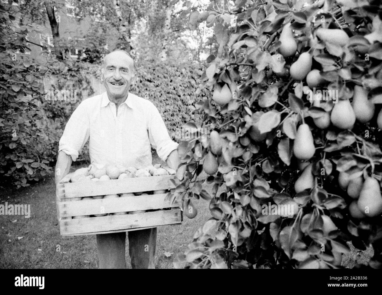 Download Var bin ich robert lembke For Android Var Bin Ich Robert Lembke