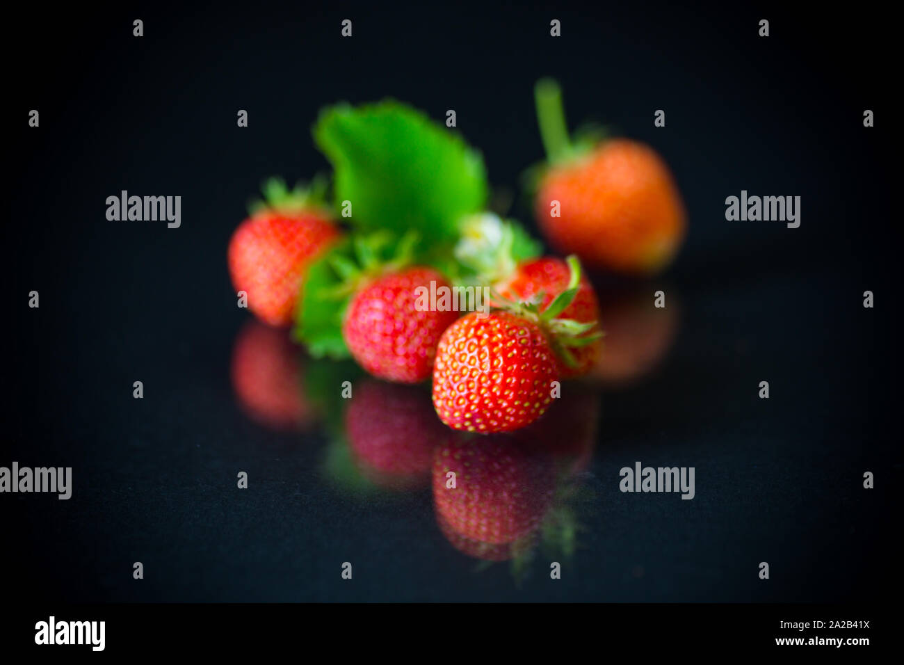 ripe red strawberries on a black background Stock Photo