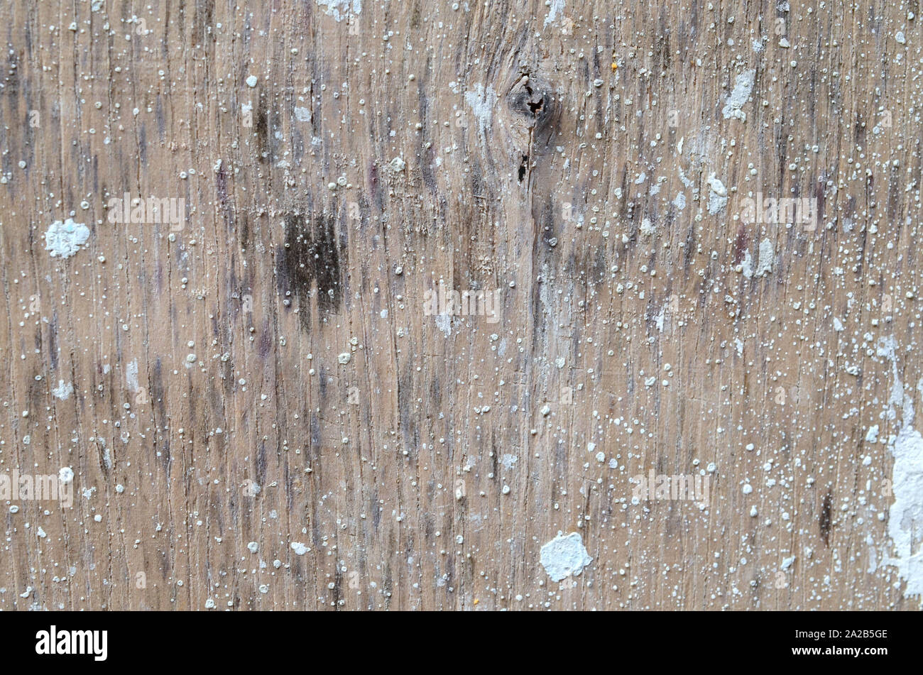 Wooden slat wall hires stock photography and images Alamy