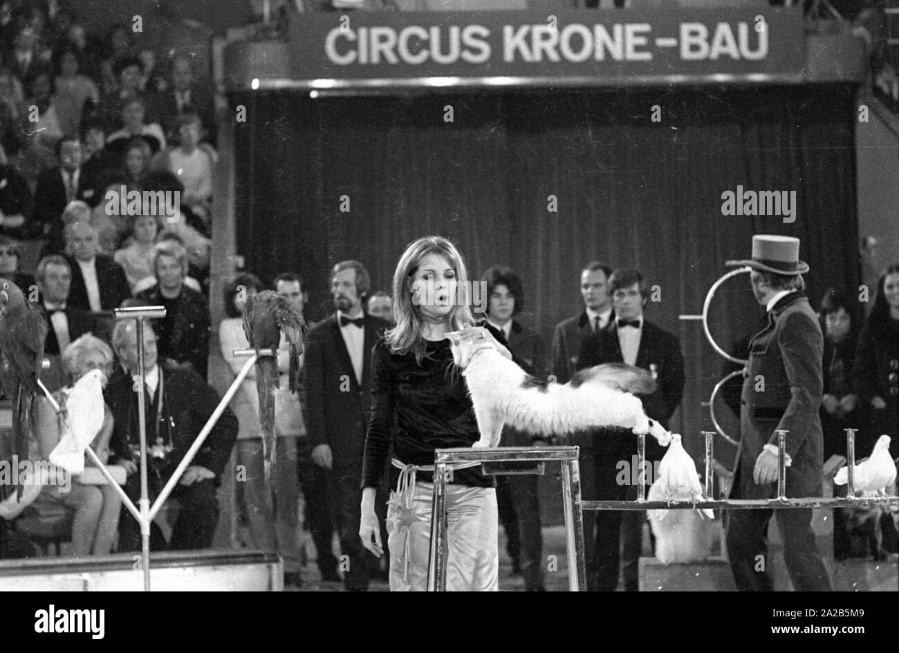 Several film and television celebrities performed in the charity television show 'Die Goldene Zehn' (also known as 'Stars in der Manege'). Photo of a blonde woman during an animal with doves and a cat. Stock Photo