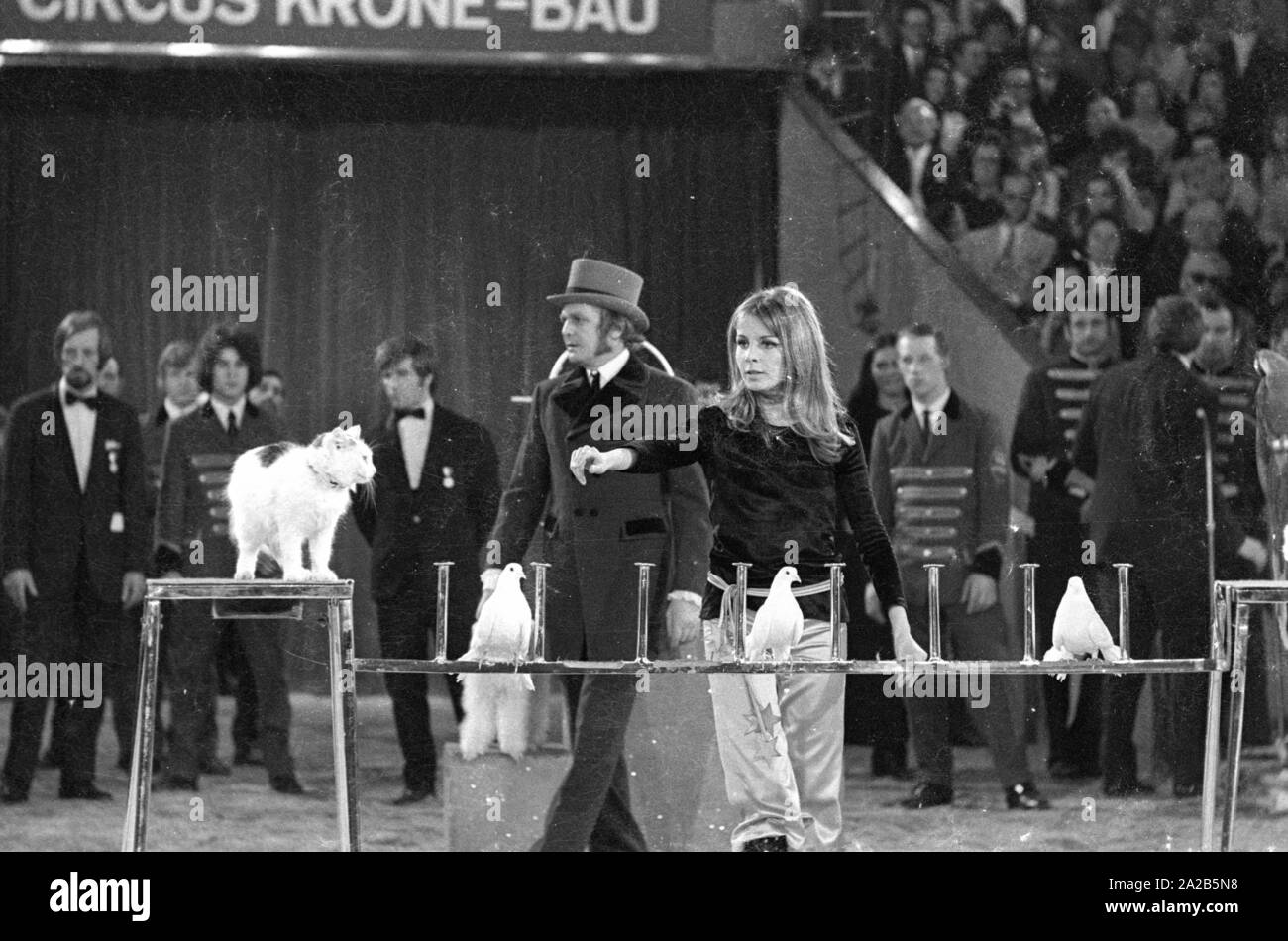 Several film and television celebrities performed in the charity television show 'Die Goldene Zehn' (also known as 'Stars in der Manege'). Photo of a blonde woman during an animal with doves and a cat. Stock Photo