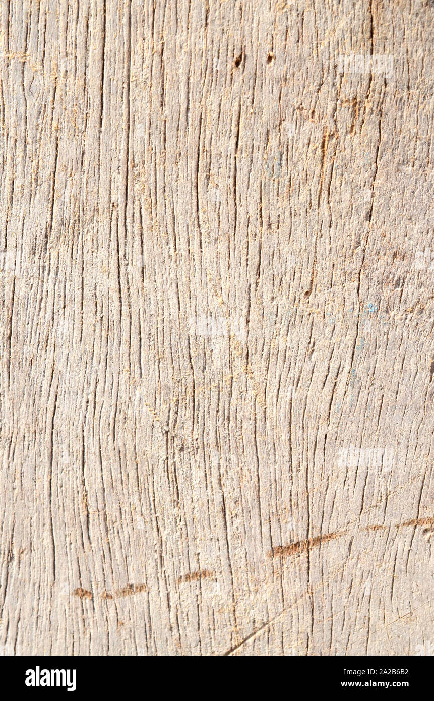 A texture of light wooden panels Stock Photo