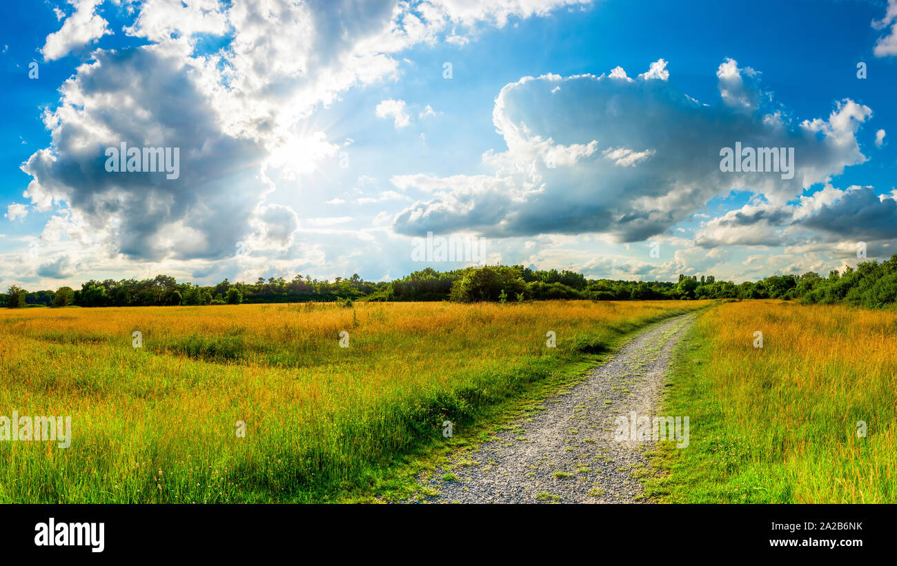 Wald mit strasse hi res stock photography and images Alamy