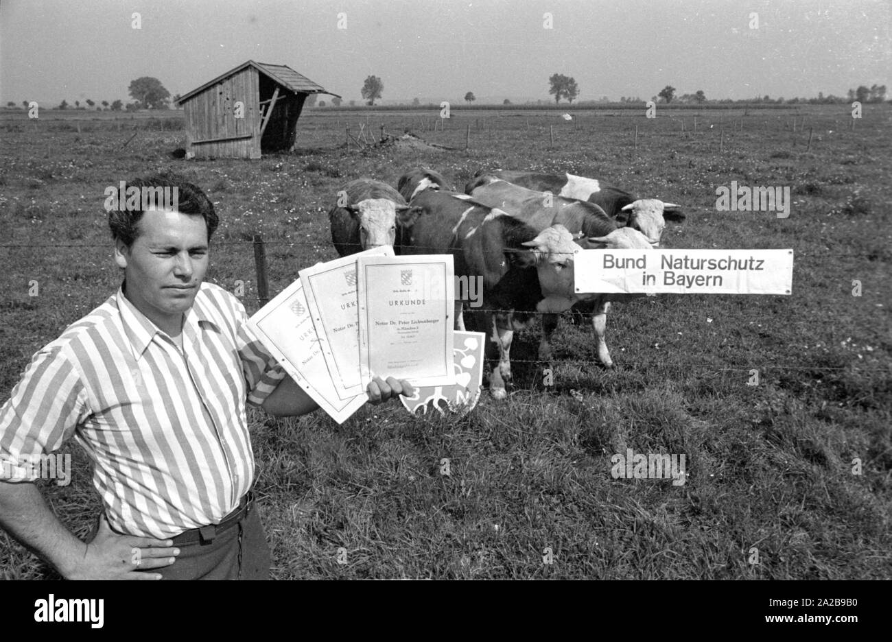 There were extensive protests after the decision of the Bavarian state government in 1969 to build the new Munich airport in Erdinger Moos. For example, a plot of land that is needed for the new airport, was transferred to the 'Bund Naturschutz in Bayern'. In the picture: A man holds the notarial deed of donation in his hands. Stock Photo