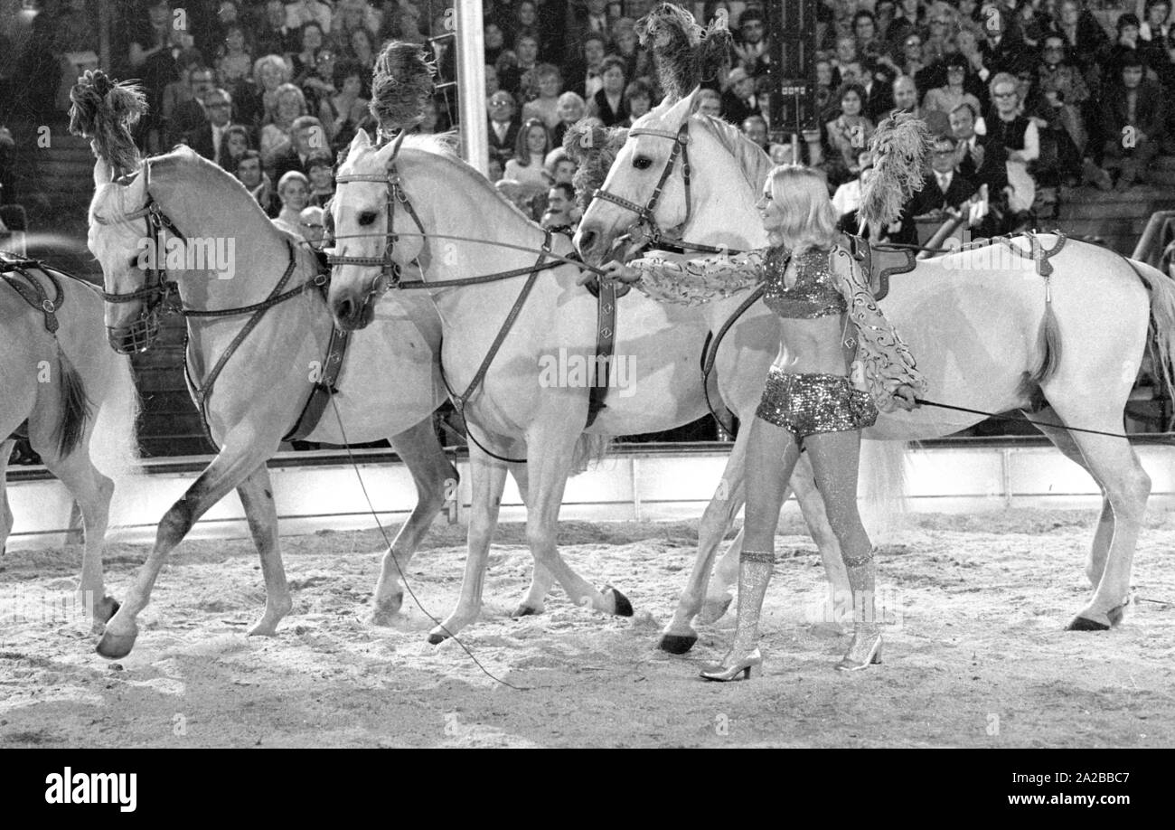 The American singer Peggy March performs with white horses on the TV