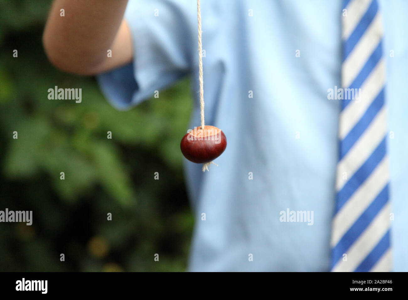 Primary schoolboy in school uniform playing a game of conkers, holding a conker on a string closeup, outside in Autumn Stock Photo