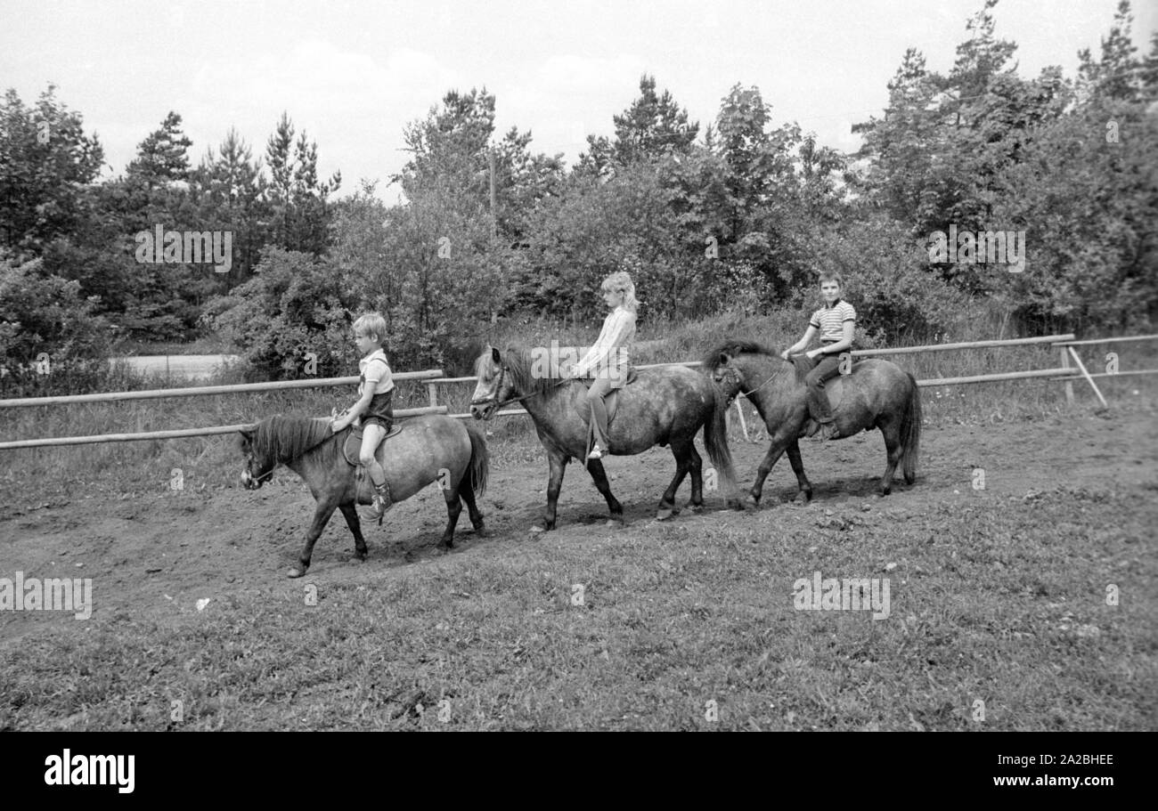 Pony riding on a holiday in the Rhoen Mountains in Germany. Stock Photo