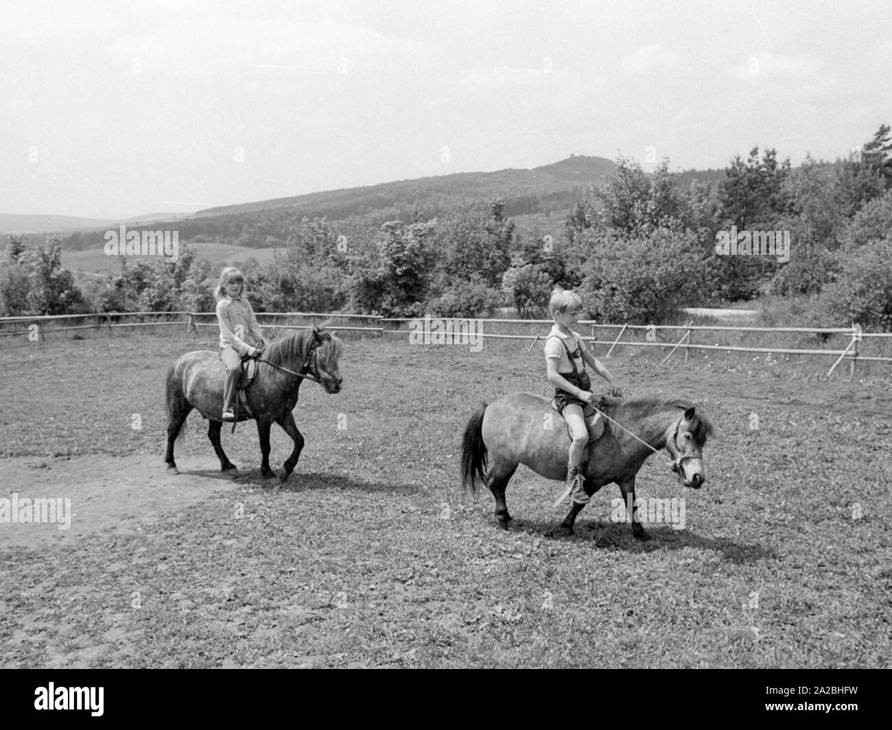 Pony riding on a holiday in the Rhoen Mountains in Germany. Stock Photo