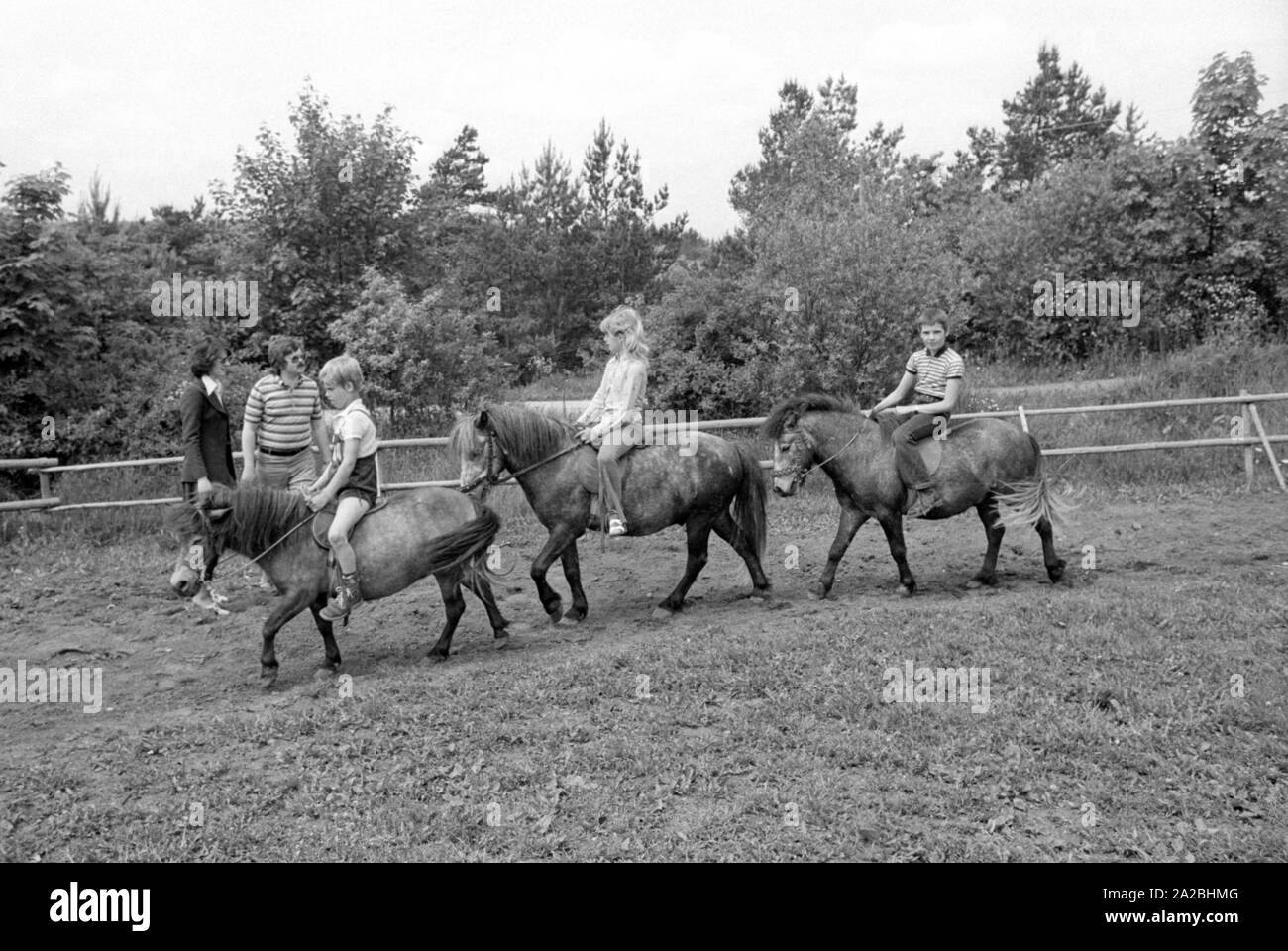 Pony riding on a holiday in the Rhoen Mountains in Germany. Stock Photo