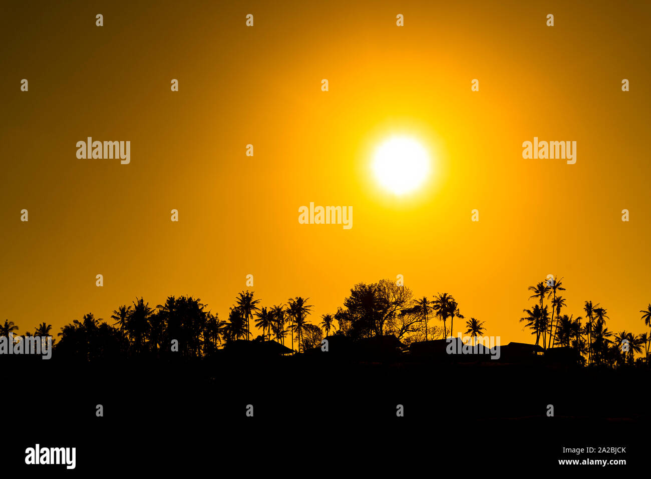 Vibrant sunrise over palm trees on a tropical coastline Stock Photo