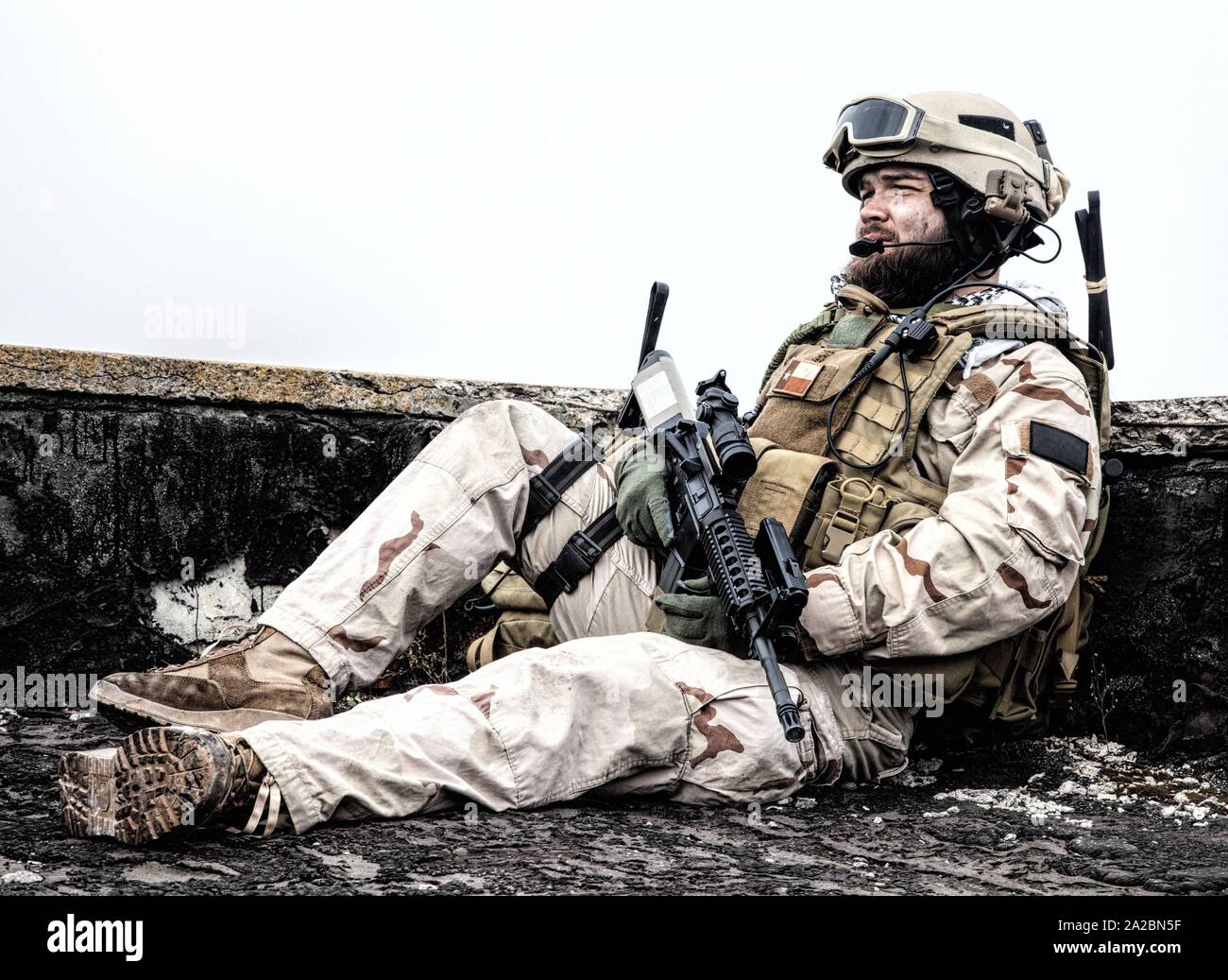 U. S. Navy SEAL infantryman, commando marksman in battle uniform, armed  with assault service rifle with optics sight, observing territory while  Stock Photo - Alamy