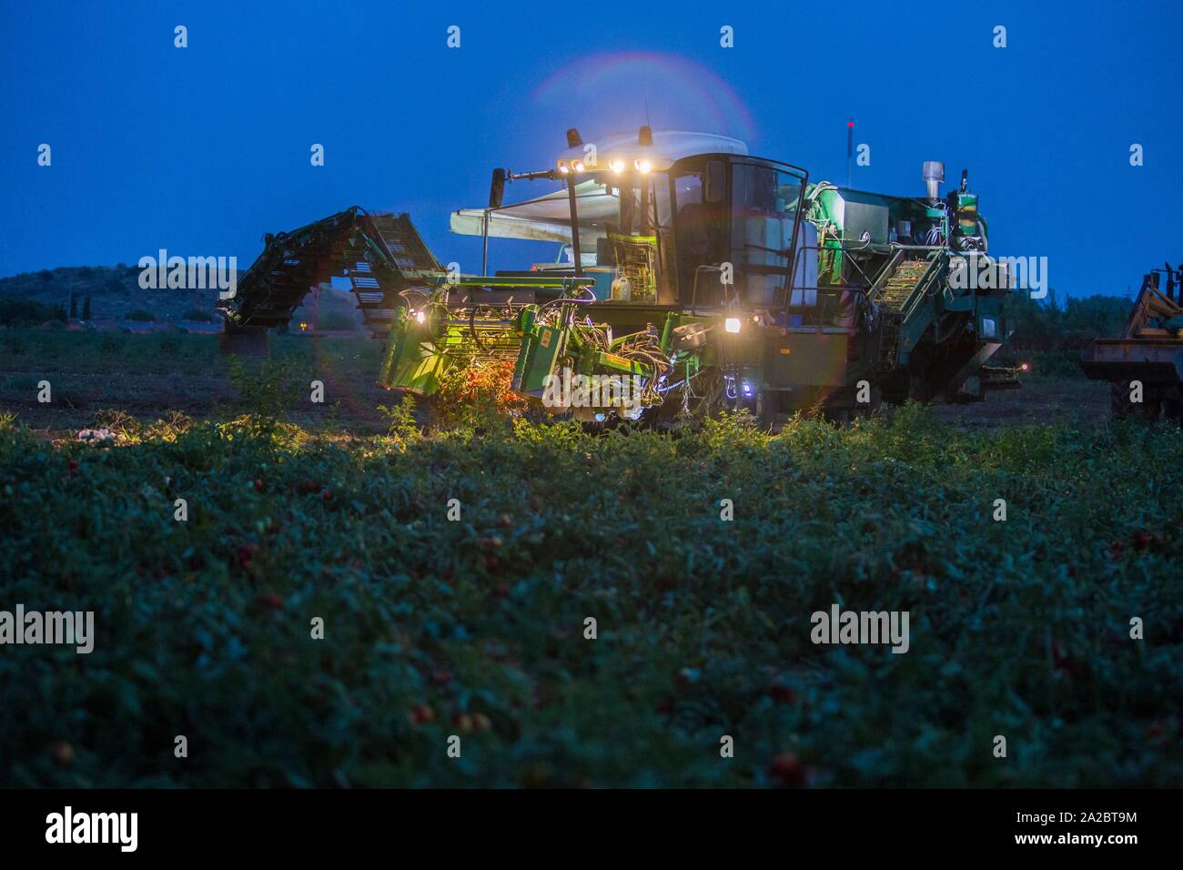 Tomato harvester working at night under moonlight. Vegas Bajas del Guadiana, Spain. Stock Photo