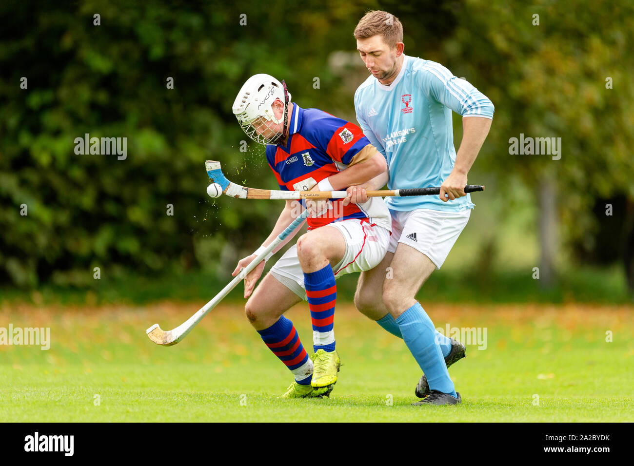 Action from a shinty game. Caberfeidh v Kingussie in the Mowi Premiership, played at Castle Leod, Strathpeffer. Stock Photo