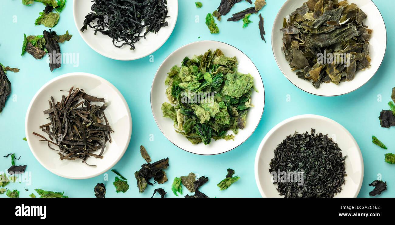 A panorama of various dry seaweed, sea vegetables, shot from the top on a teal blue background Stock Photo
