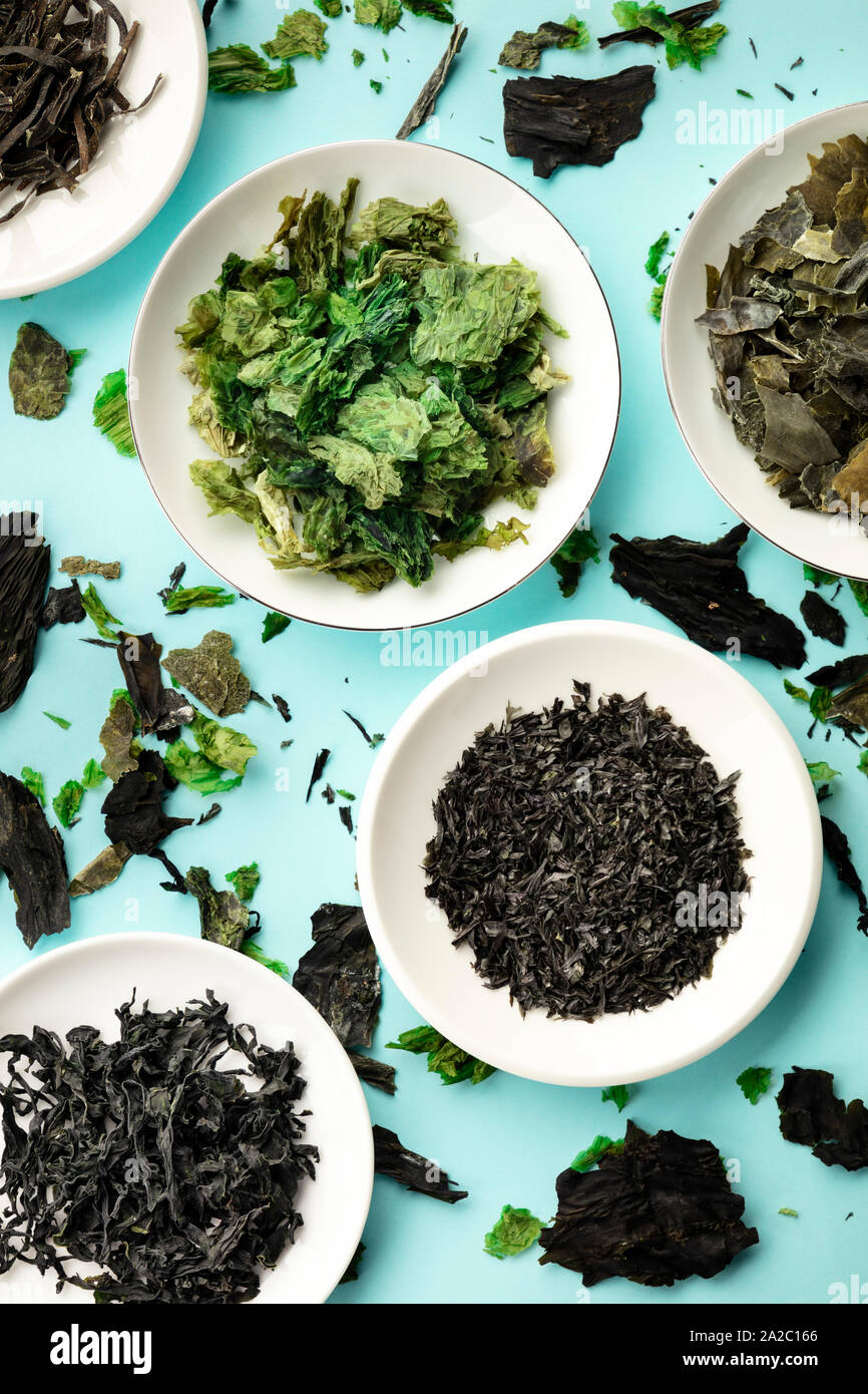 Seaweed, sea vegetables, overhead shot on a teal blue background Stock Photo