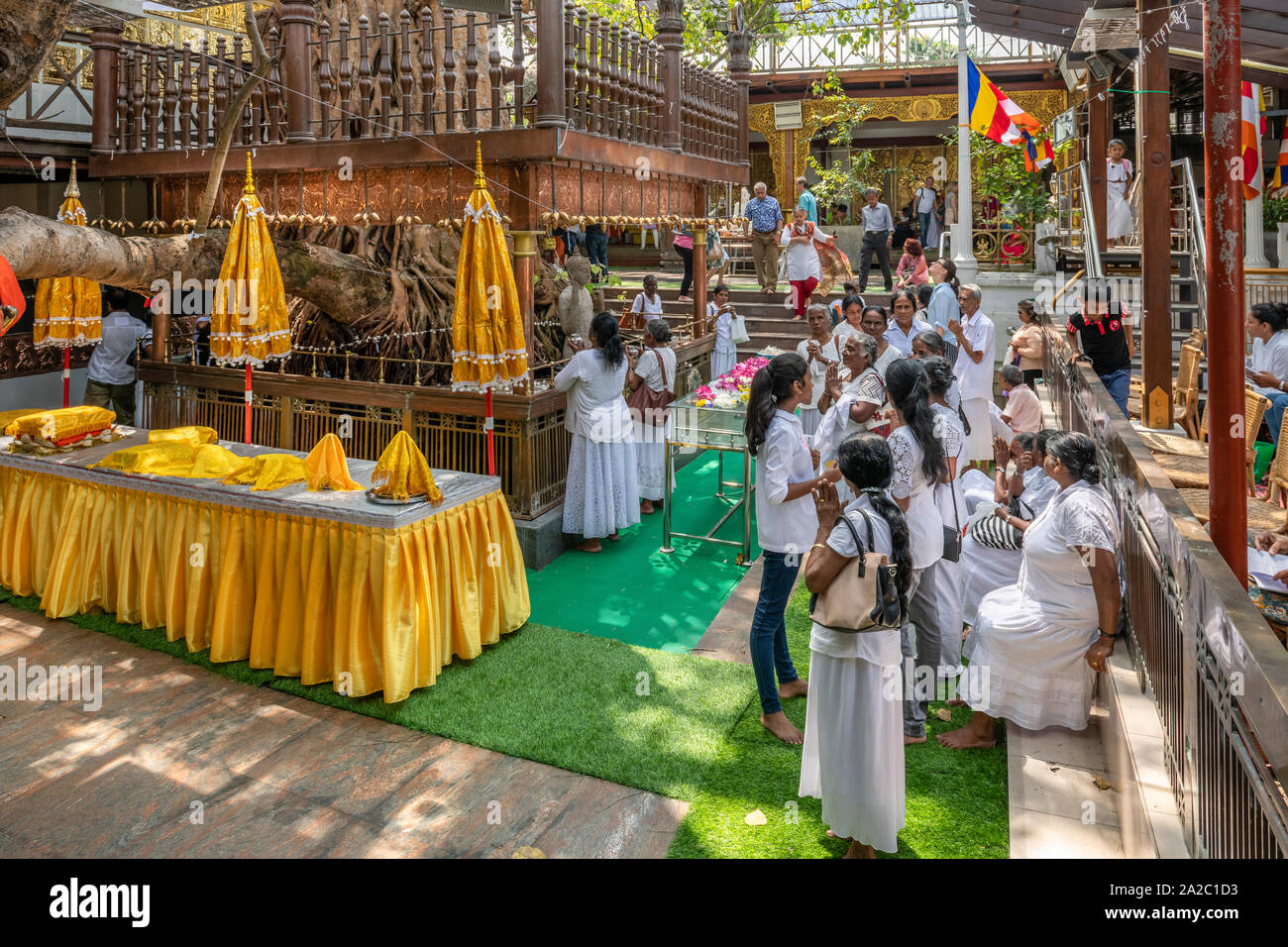 Buddhists lay offerings at the famous Bodhi Tree in Gangaramaya Temple in Colombo, the capital city of Sri Lanka. Stock Photo