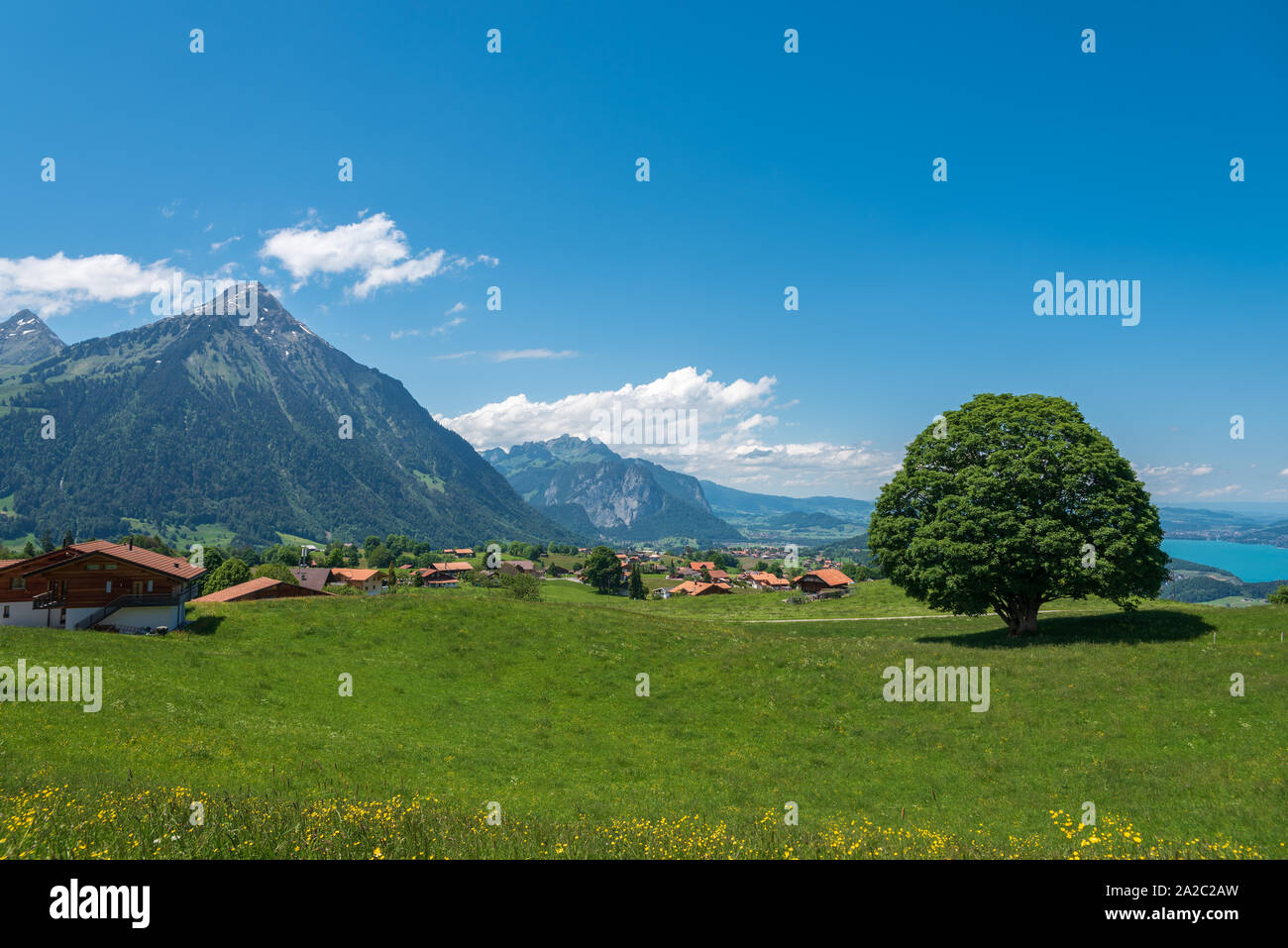 Landscape with Mount Niesen, Aeschi bei Spiez, Bernese Oberland, Switzerland, Europe Stock Photo