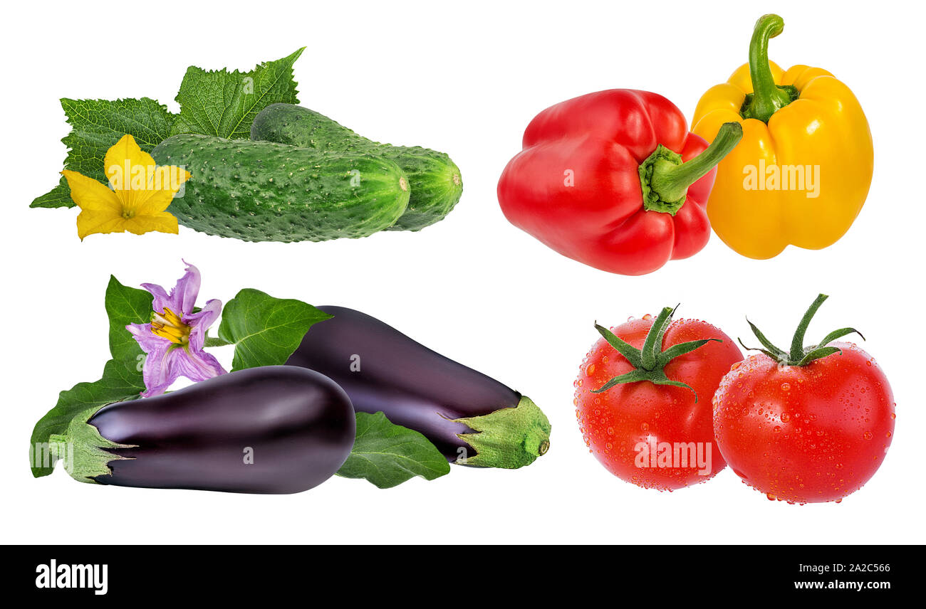 tomato,eggplant ,pepper and cucumber isolated on white background Stock