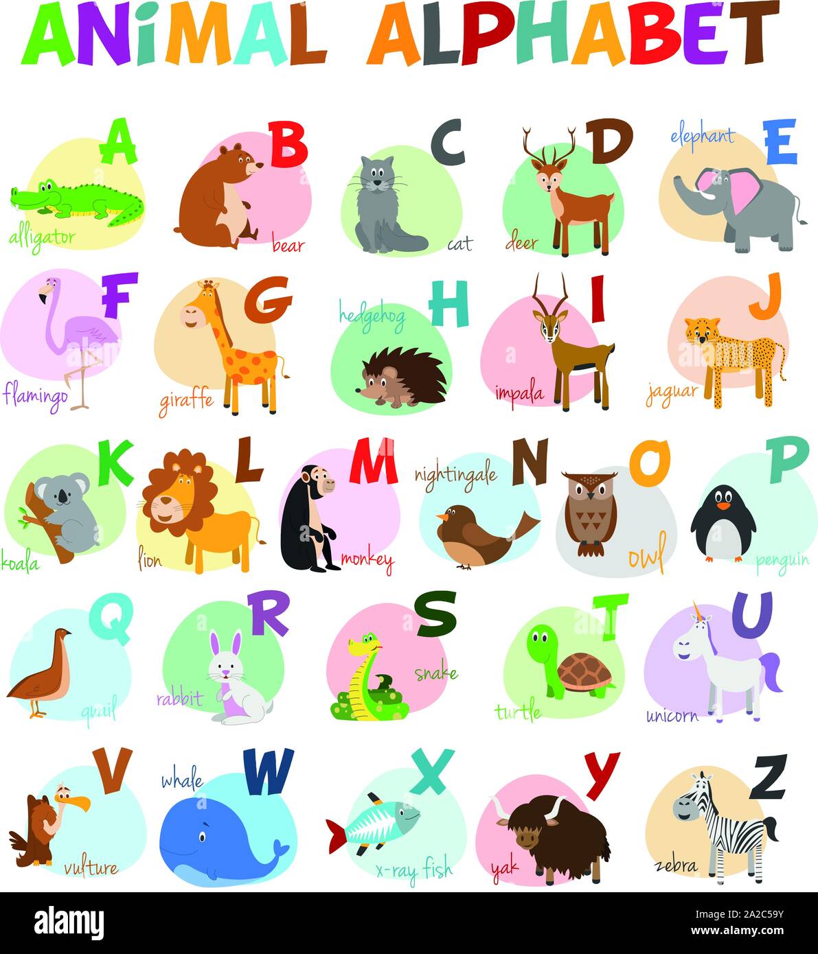 Cute cartoon zoo illustrated alphabet with funny animals. English alphabet.  Learn to read. Isolated Vector illustration Stock Vector Image & Art - Alamy