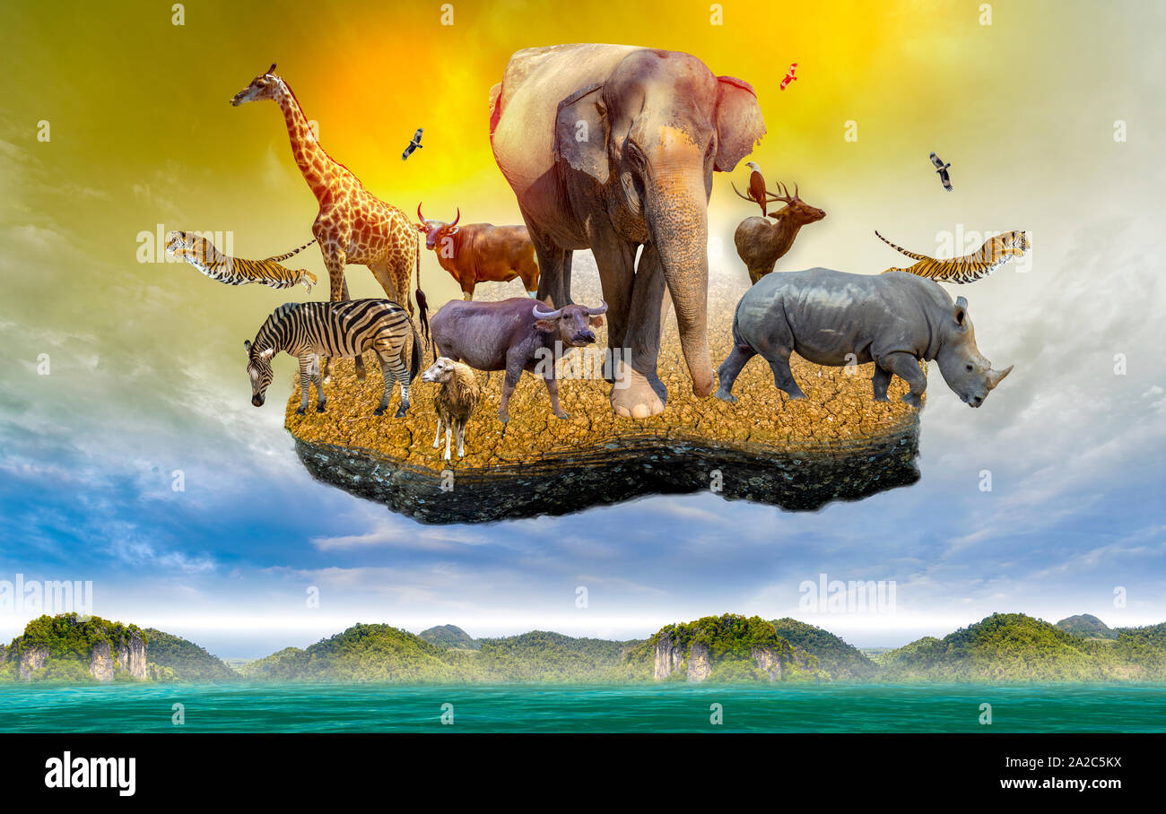 Wildlife Conservation Day Wild animals to the home. Or wildlife protection Stock Photo - Alamy Wildlife Conservation Day Wild animals to the home. Or wildlife protection Stock Photo - Alamy