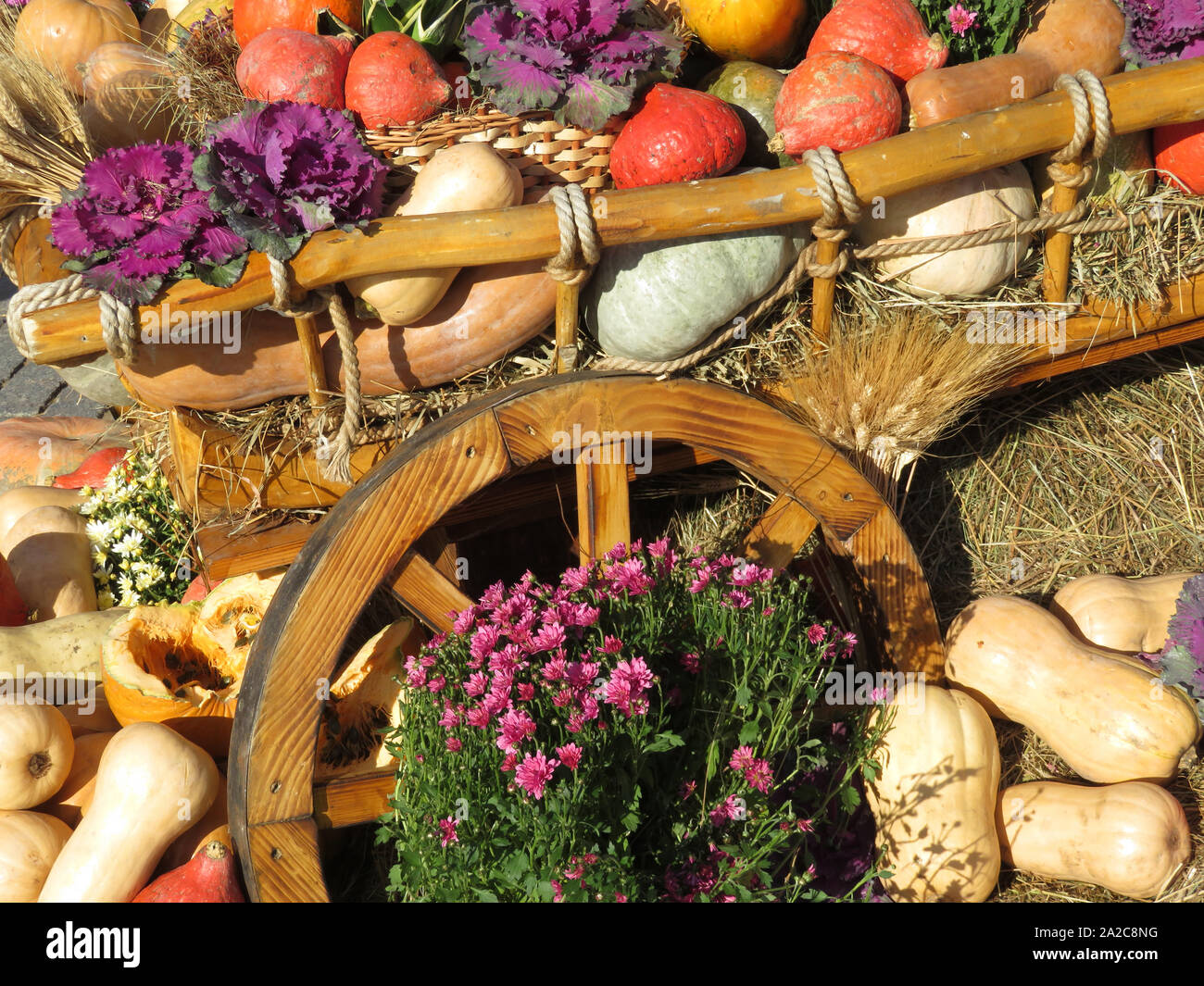 Thanksgiving Day Wooden Cart With Pumpkins And Vegetables On A