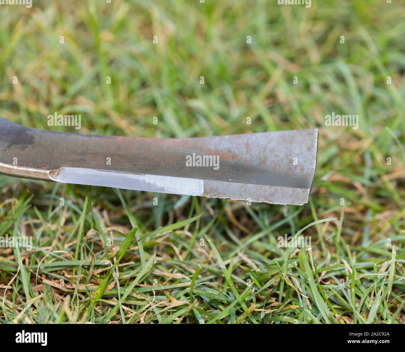 Closeup of lawn mower blade with cutting edge sharp and dull with nicks. concept of home and lawn maintenance and repair. green grass in background Stock Photo