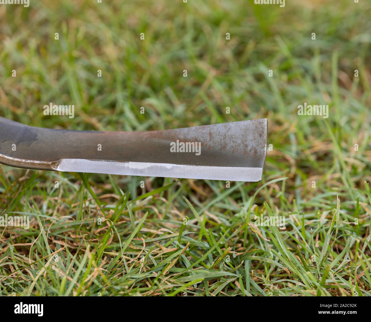 Closeup of lawn mower blade with sharp cutting edge. Concept of home and lawn maintenance and repair. green grass of yard in background Stock Photo