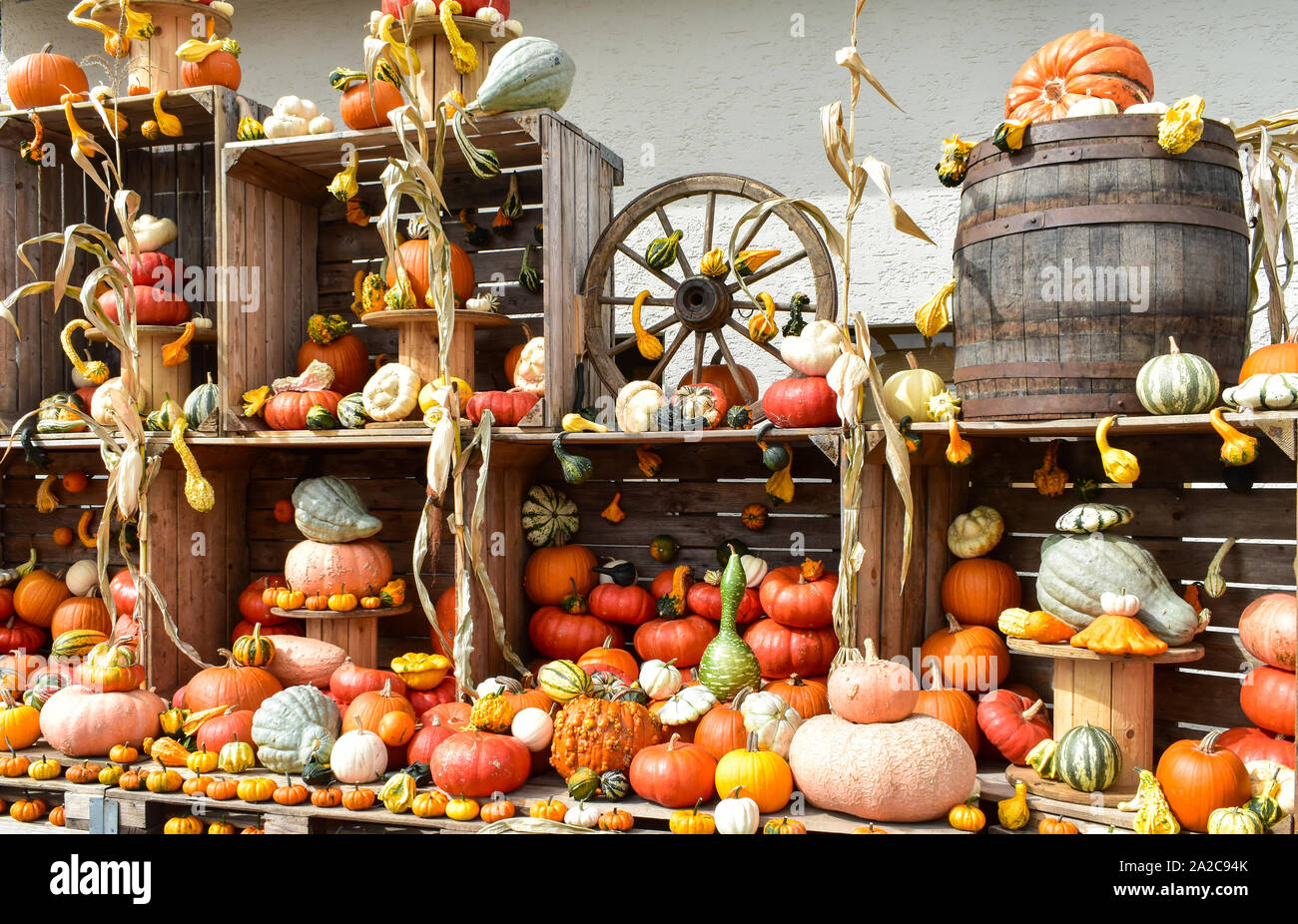 Colorful pumpkins and gourds. Autumn decoration Stock Photo Alamy