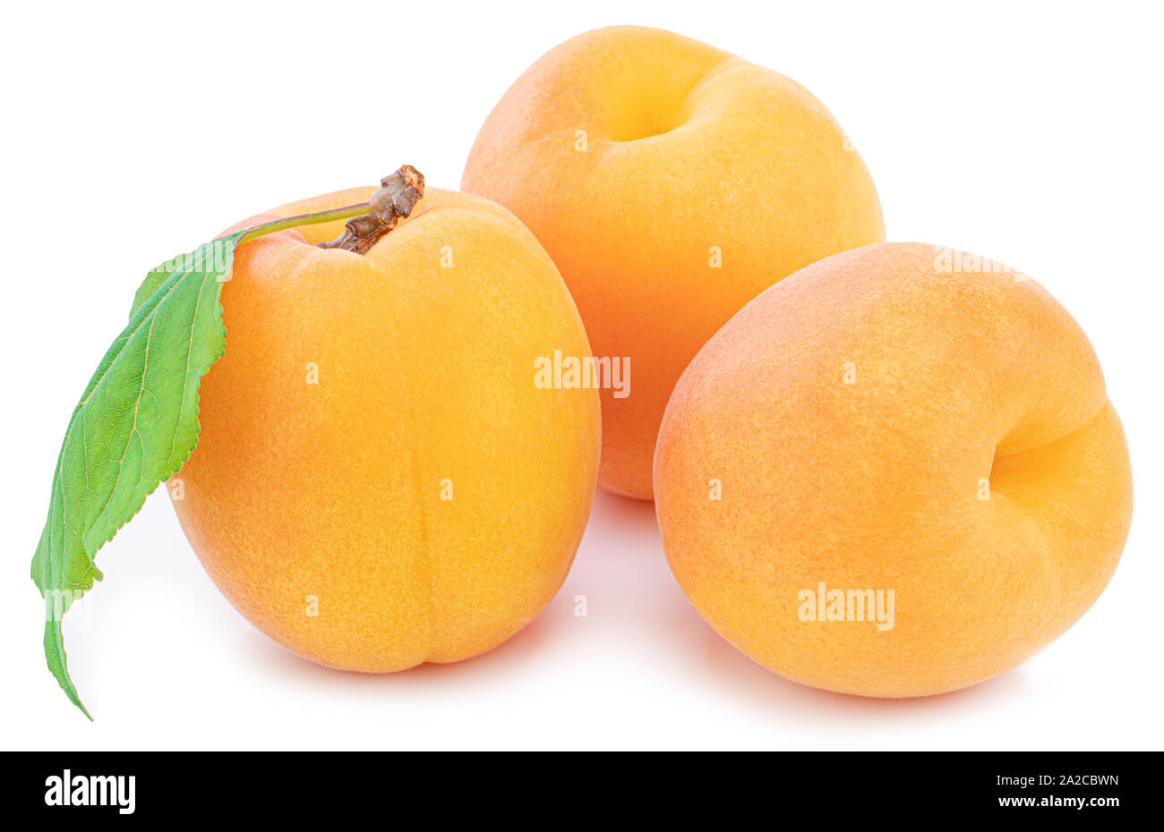 Apricot isolated on white background. Clipping Path Stock Photo - Alamy