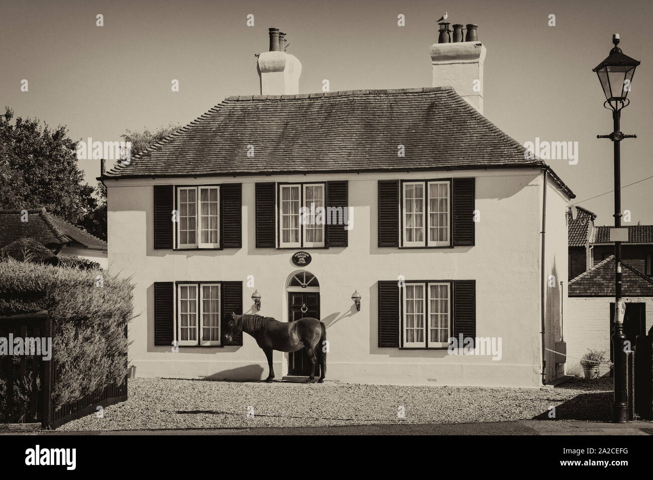 Brockenhurst new forest hi-res stock photography and images - Alamy