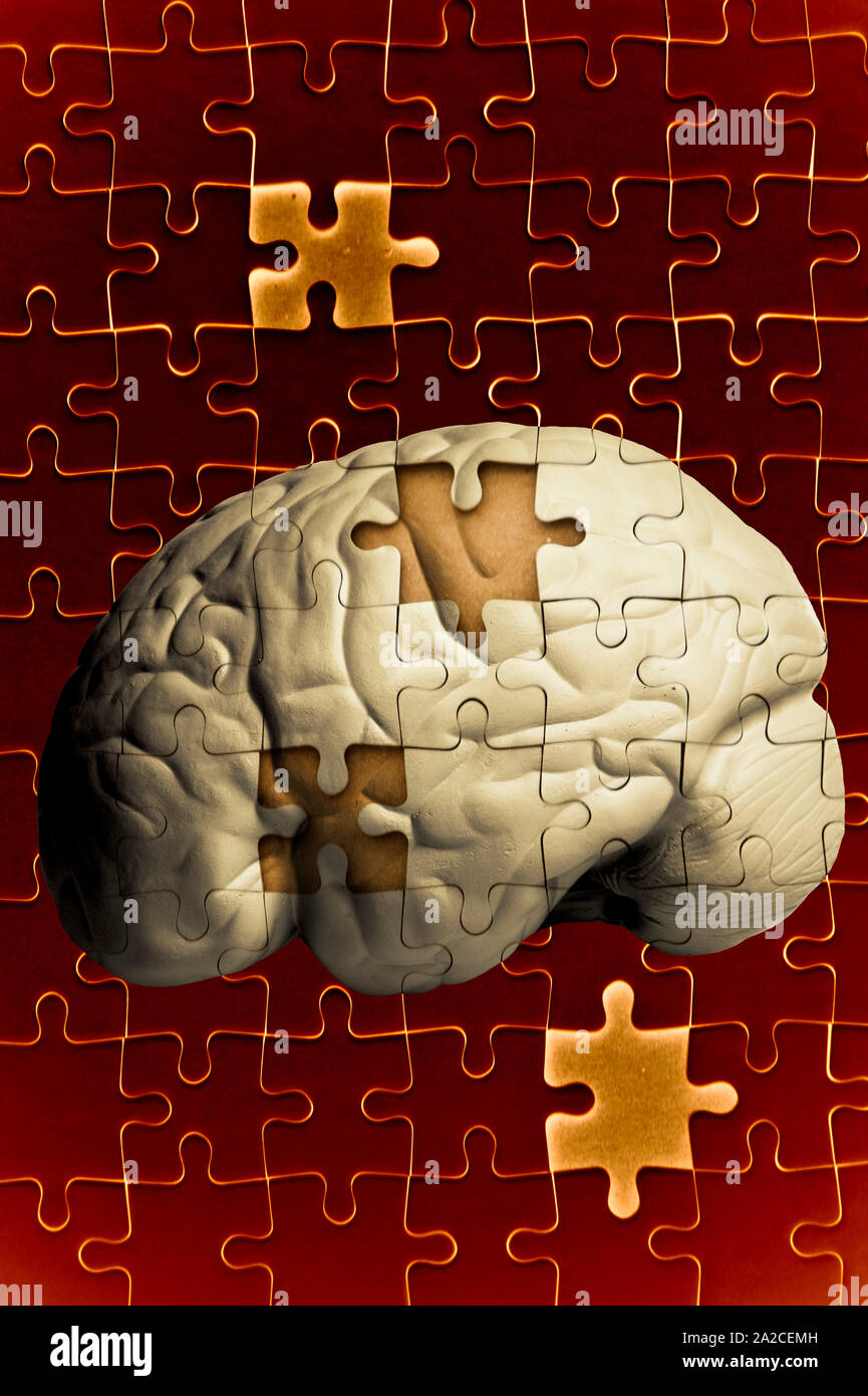 human brain and jigsaw puzzle with missing pieces Alzheimer Stock
