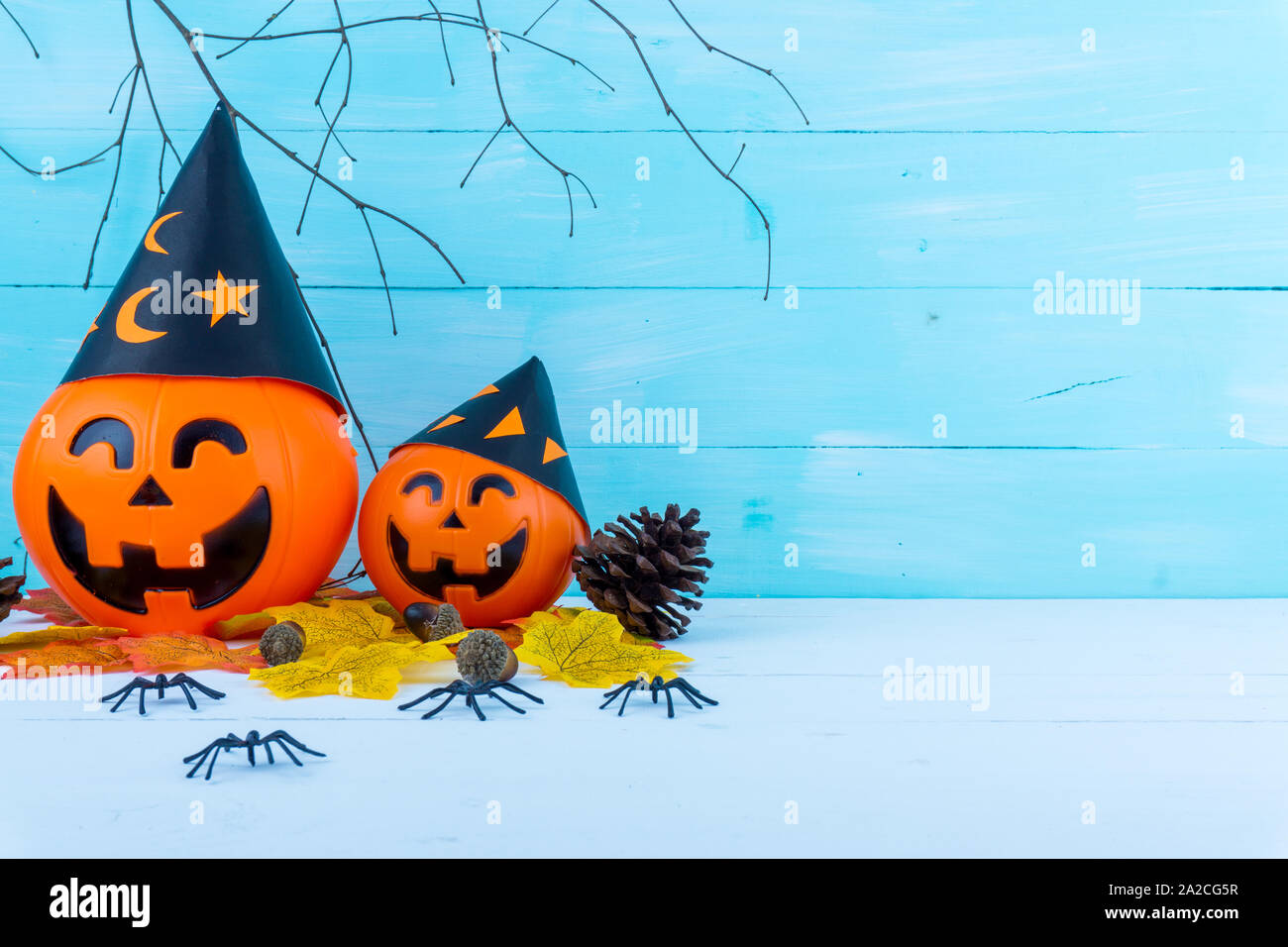 Halloween holiday background with spider, webs, gifts and jack lantern on blue wooden table with copy space for text. Flat lay, top view Stock Photo