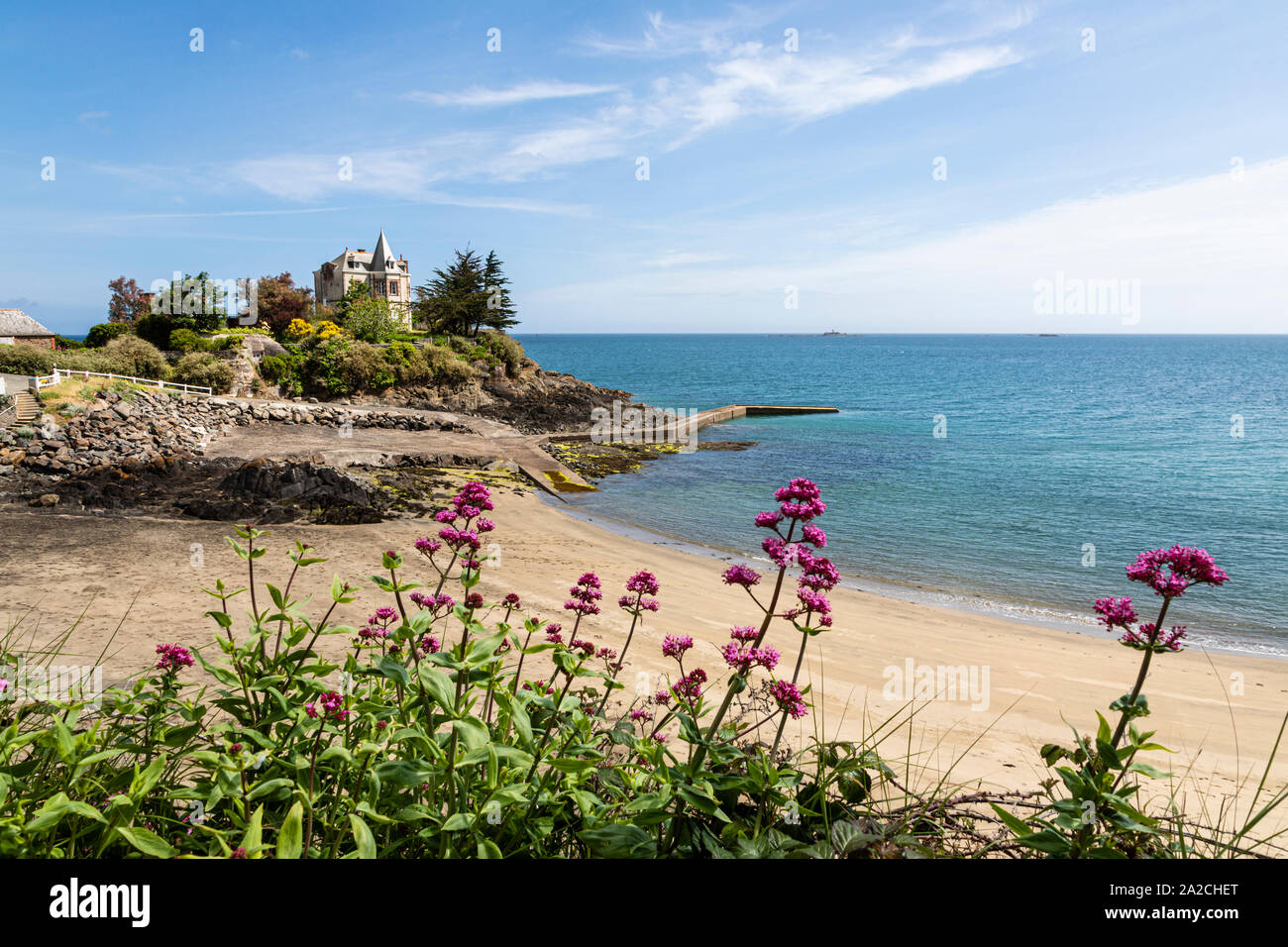 French Brittany Stock Photos French Brittany Stock Images