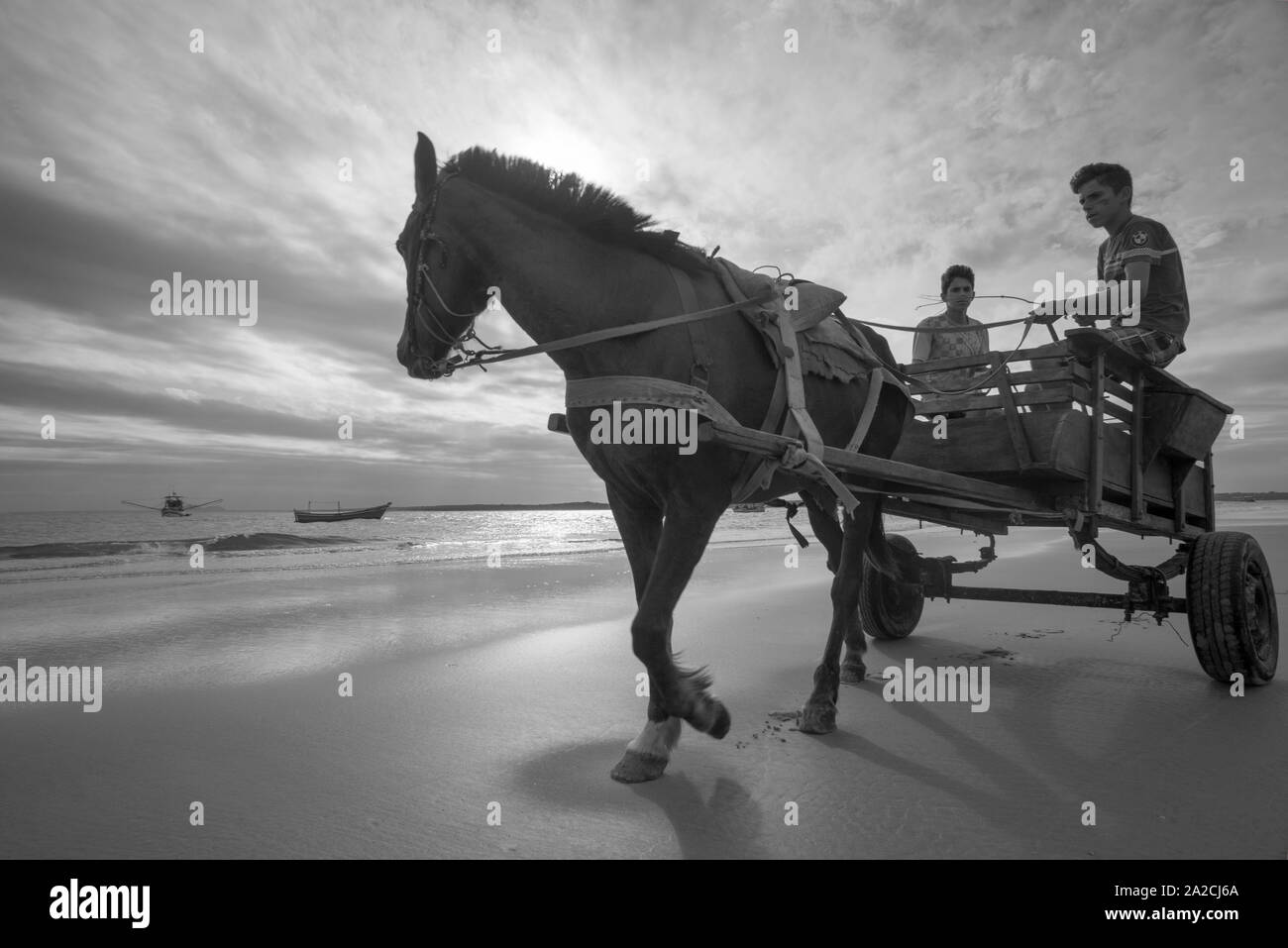 Young fishermen on the beach driving a horse-drawn cart Stock Photo