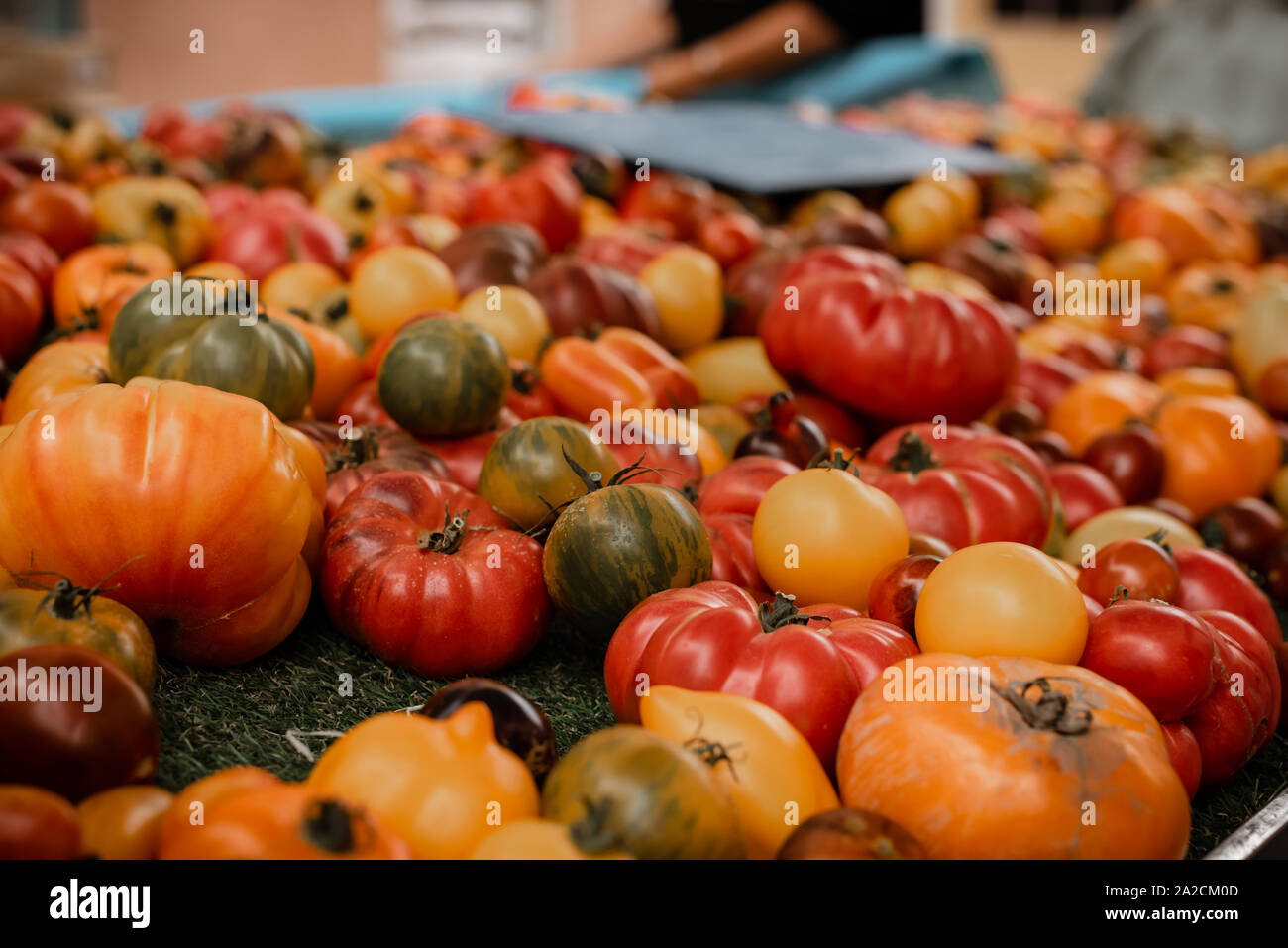 Tomatoes at farmers' market in Provence, France Stock Photo