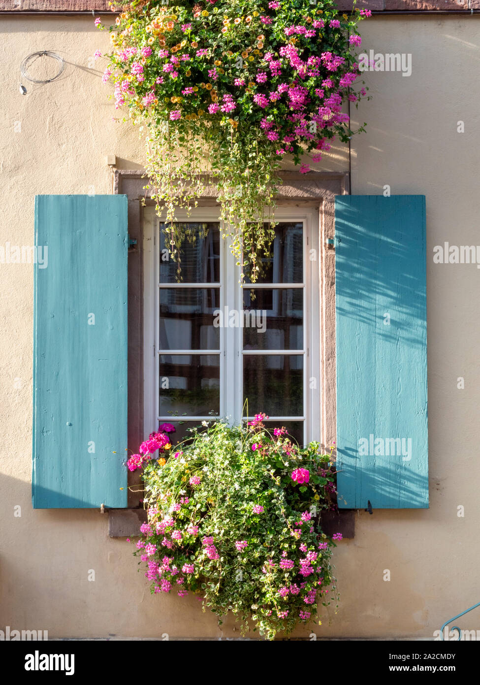 An old french window with shutters and pretty window box full of geranium flowers in a building in Eguisheim Alsace France Stock Photo