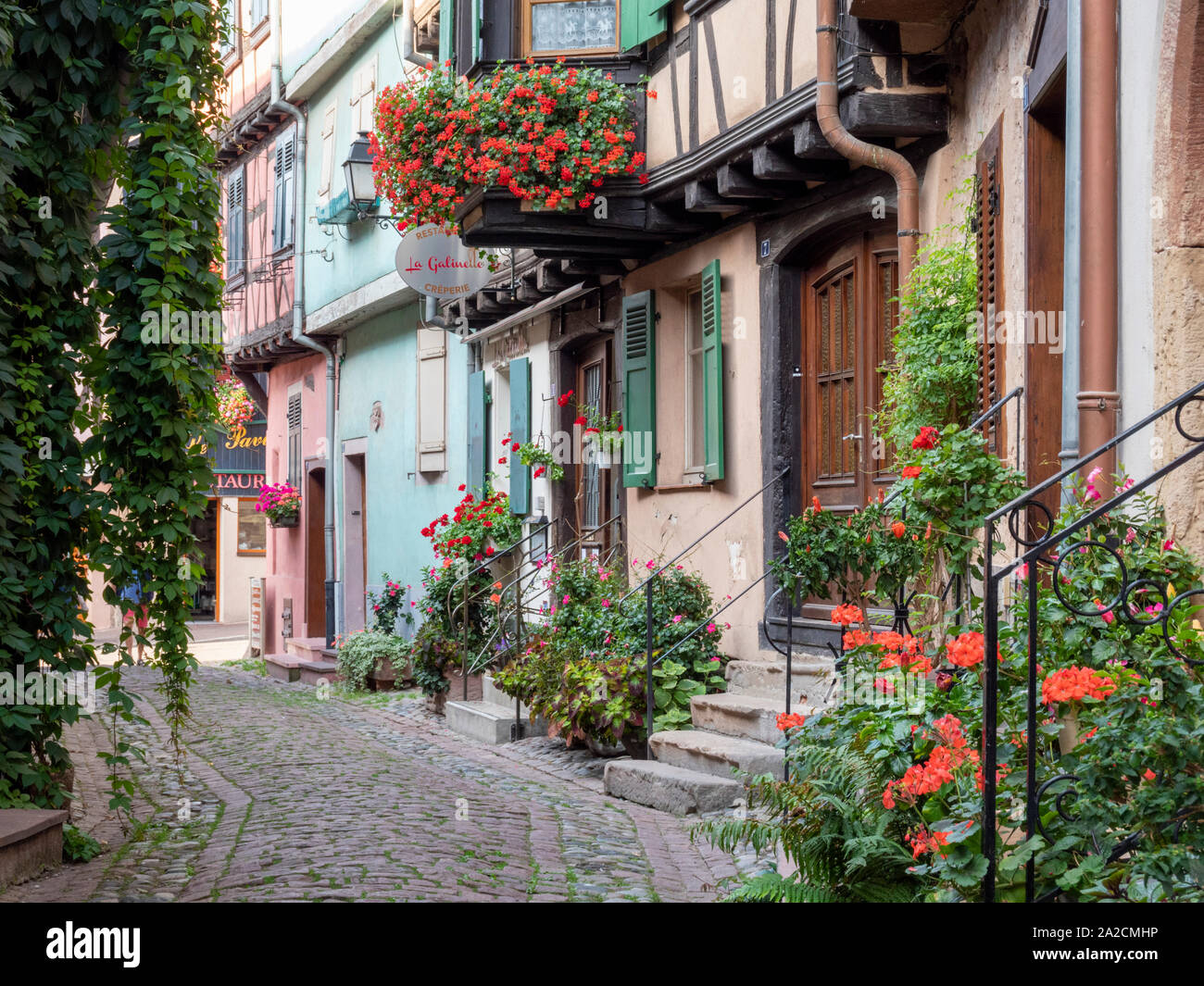 Half timbered buildings in the centre of Eguisheim Alsace France a pretty medieval town in the heart of the Alsace wine region and popular travel dest Stock Photo