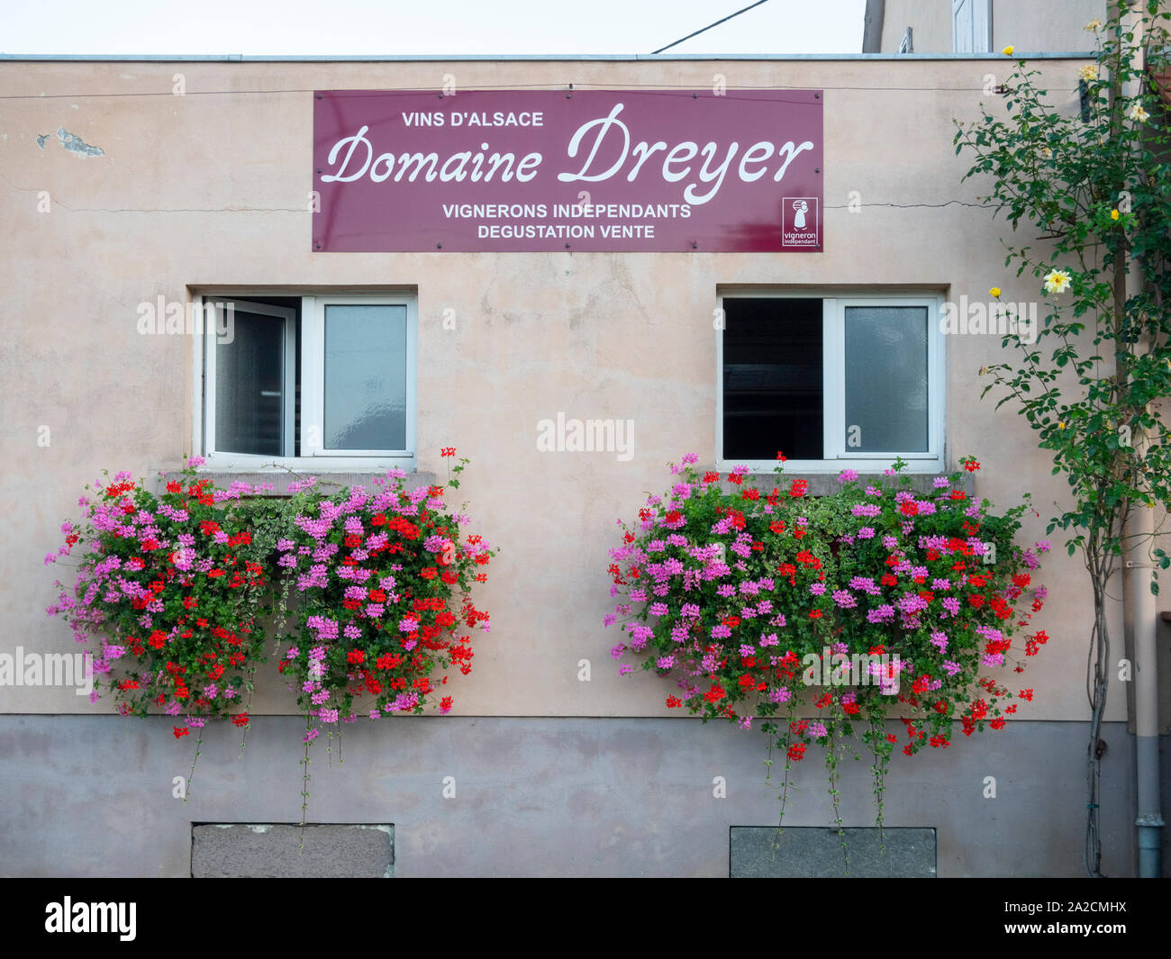 Pretty window boxes full of geraniums on the wall of Domaine Dreyer an inde[endent wine grower in Eguisheim Alsace France Stock Photo