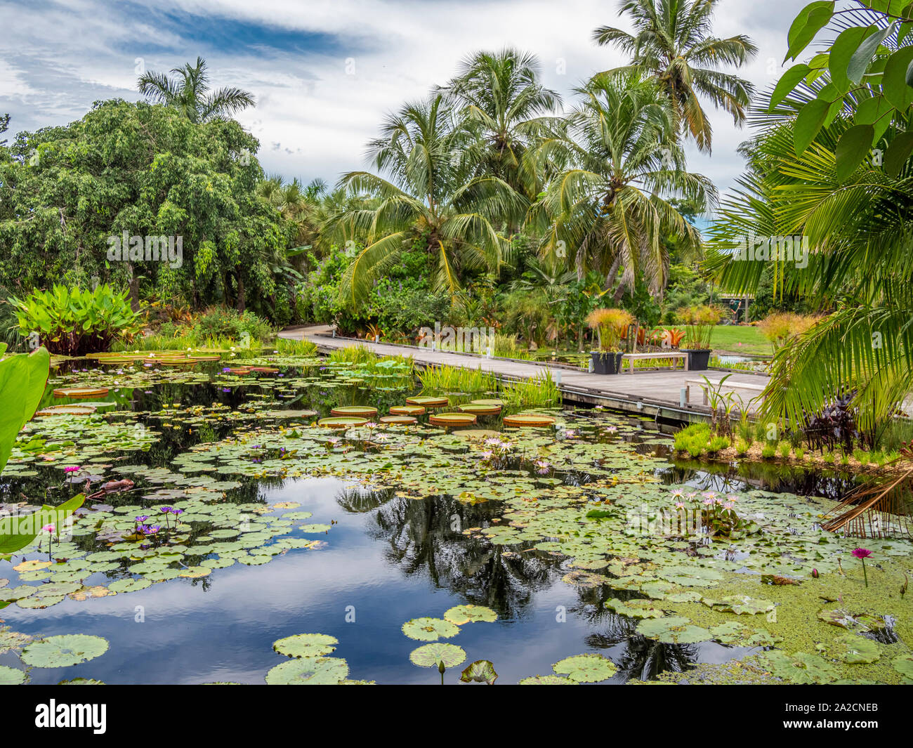 Naples Botanical Garden in Naples Florida in the United States Stock