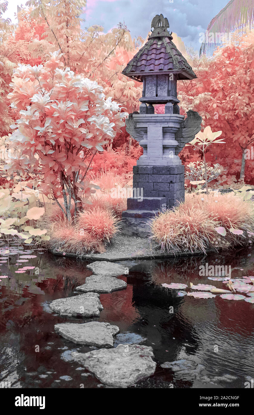Naples Botanical Garden takenwith a Infrared Red camera and processed for false colors Stock Photo
